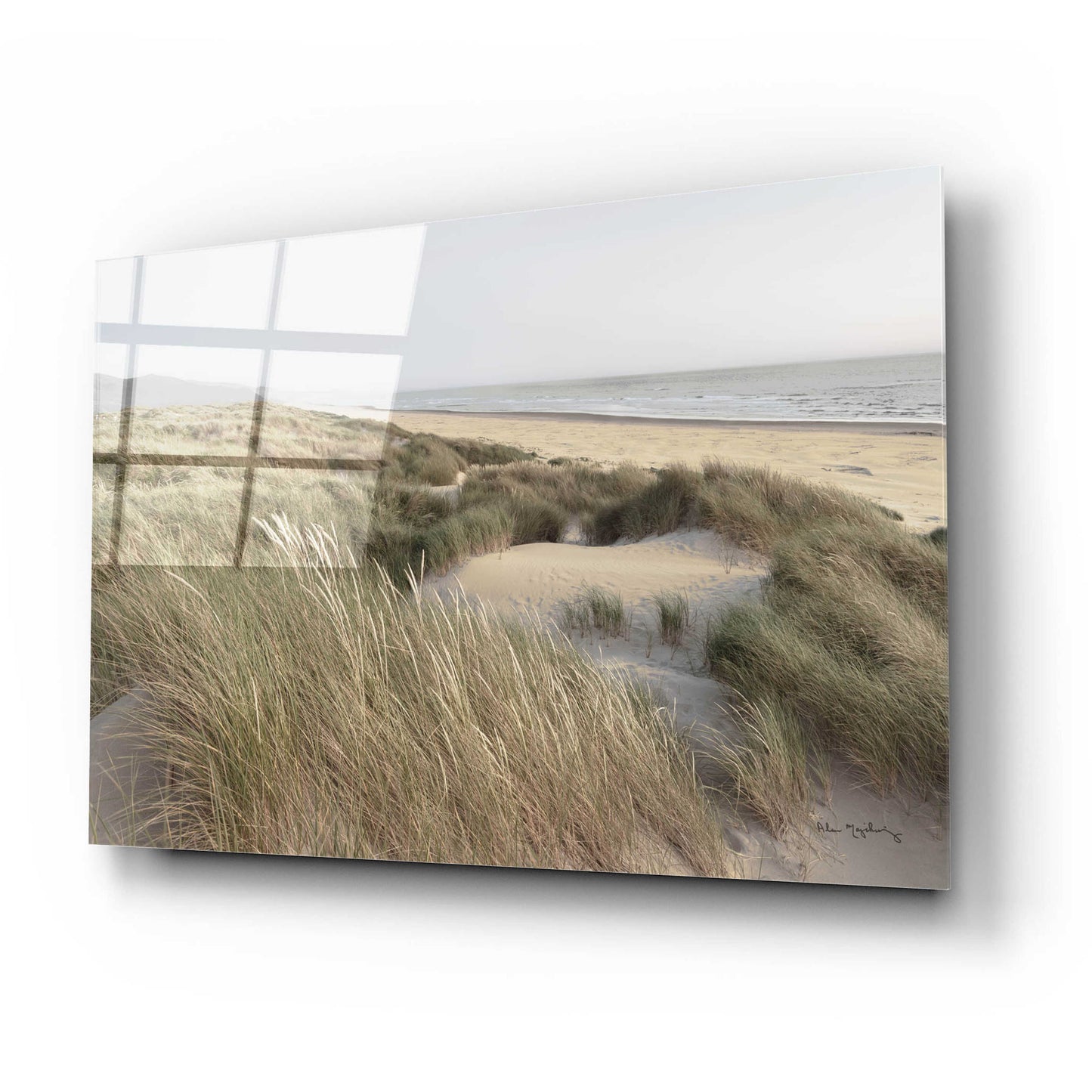 Epic Art 'Oregon Dunes' by Alan Majchrowicz, Acrylic Glass Wall Art,24x16