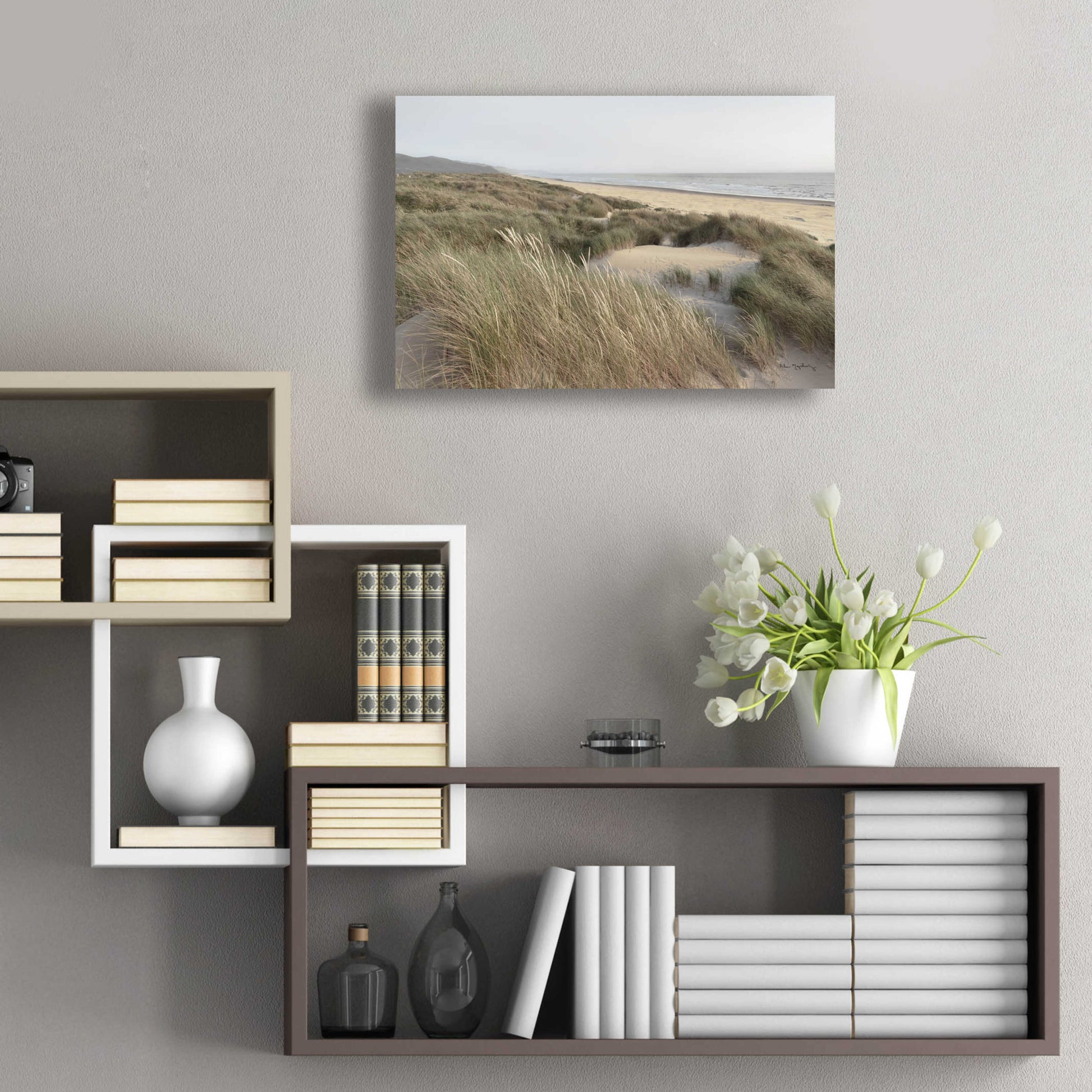 Epic Art 'Oregon Dunes' by Alan Majchrowicz, Acrylic Glass Wall Art,24x16