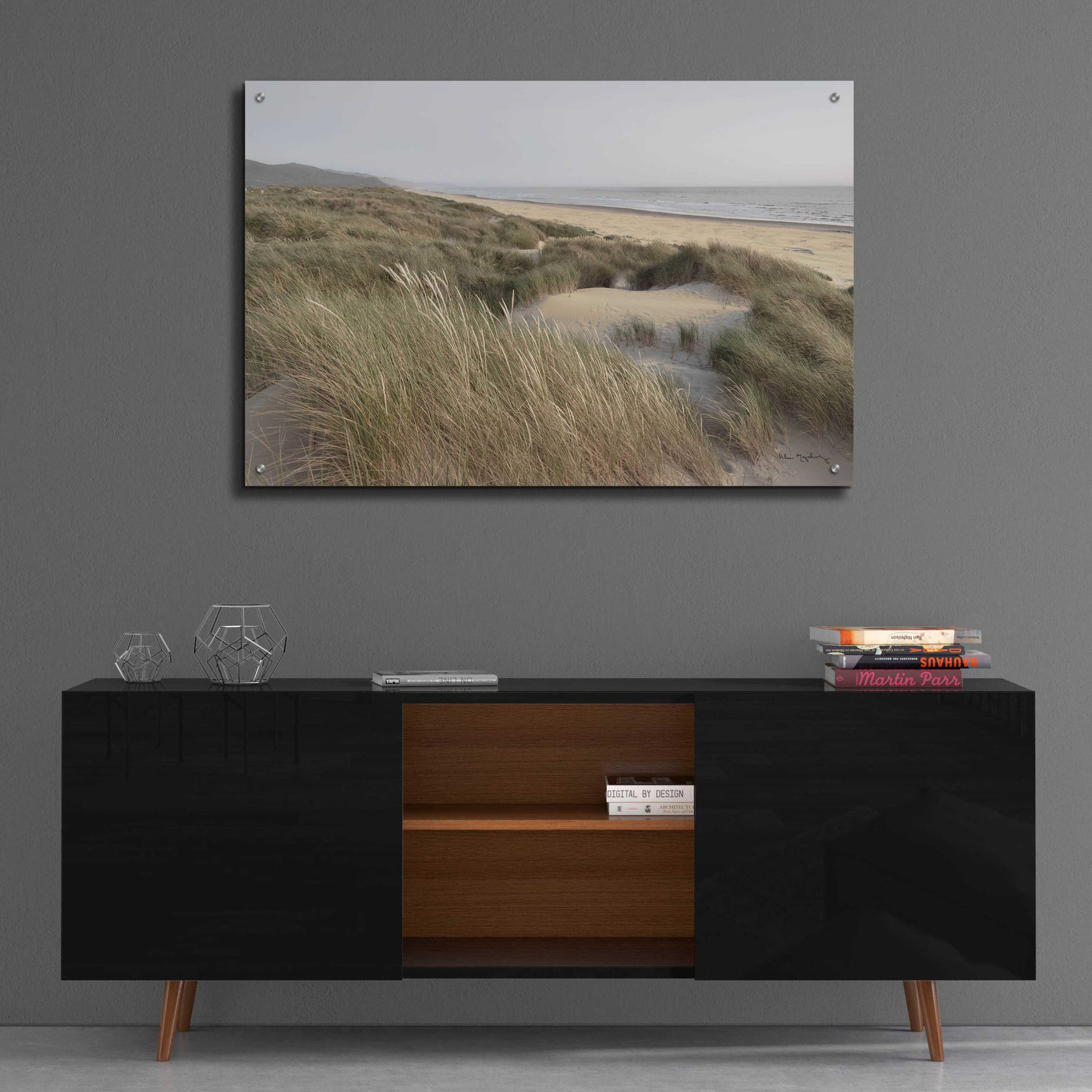 Epic Art 'Oregon Dunes' by Alan Majchrowicz, Acrylic Glass Wall Art,36x24