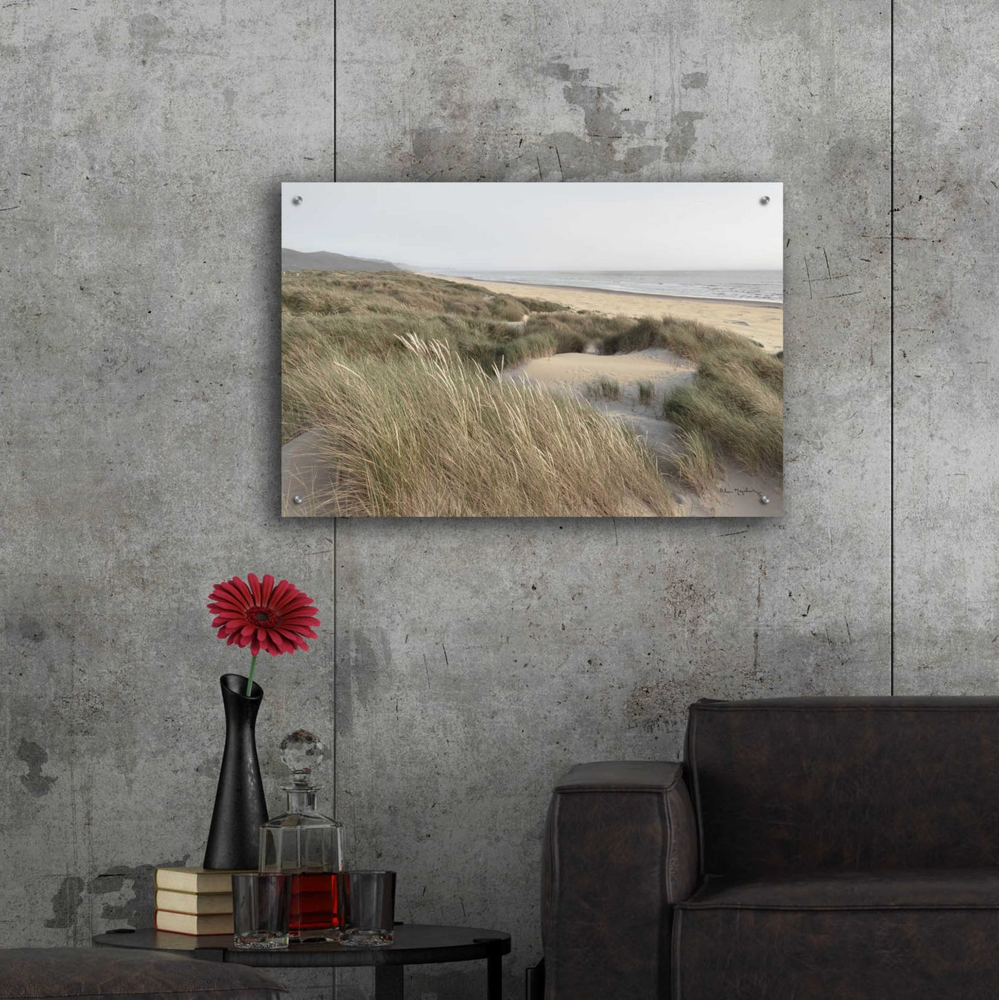 Epic Art 'Oregon Dunes' by Alan Majchrowicz, Acrylic Glass Wall Art,36x24