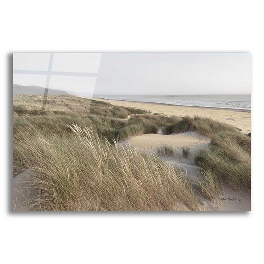 Epic Art 'Oregon Dunes' by Alan Majchrowicz, Acrylic Glass Wall Art