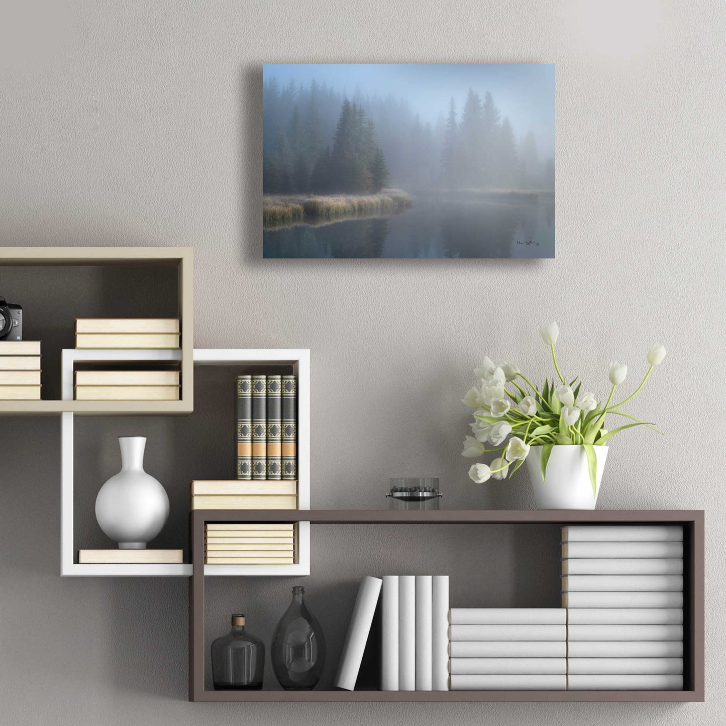 Epic Art 'Grand Teton Lake Fog' by Alan Majchrowicz, Acrylic Glass Wall Art,24x16