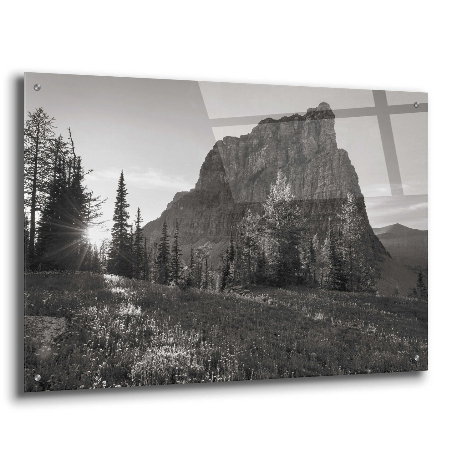 Epic Art 'Boulder Pass Glacier National Park BW' by Alan Majchrowicz, Acrylic Glass Wall Art,36x24