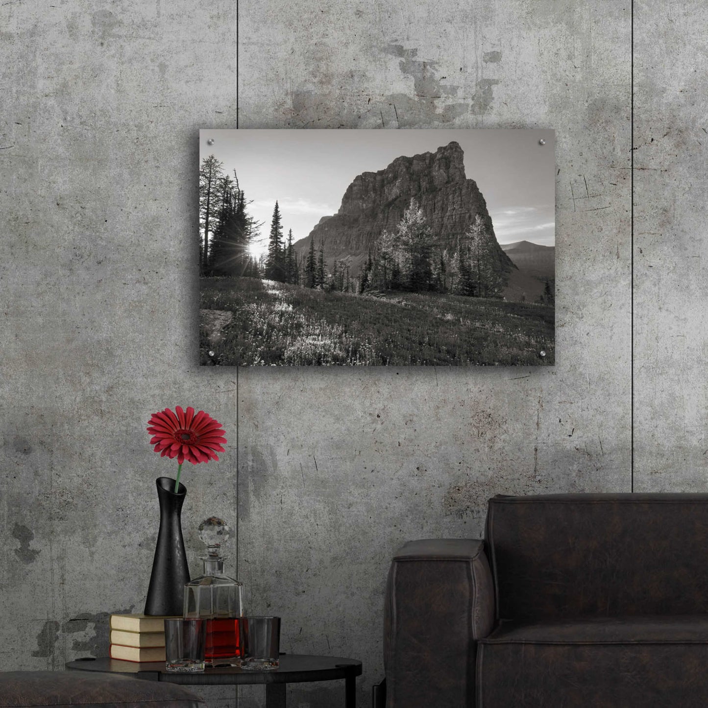 Epic Art 'Boulder Pass Glacier National Park BW' by Alan Majchrowicz, Acrylic Glass Wall Art,36x24