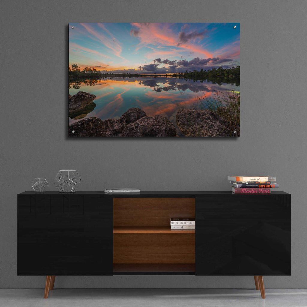 Epic Art 'Everglades' by Edin Chavez, Acrylic Glass Wall Art,36x24
