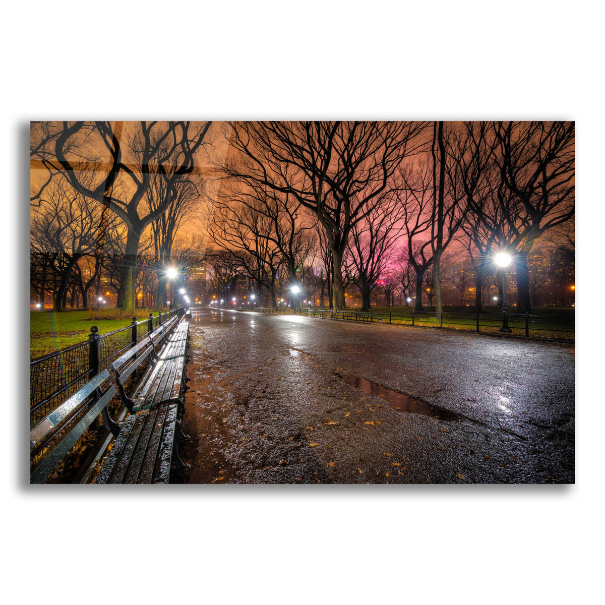 Epic Art 'The Crying Park' by Edin Chavez, Acrylic Glass Wall Art