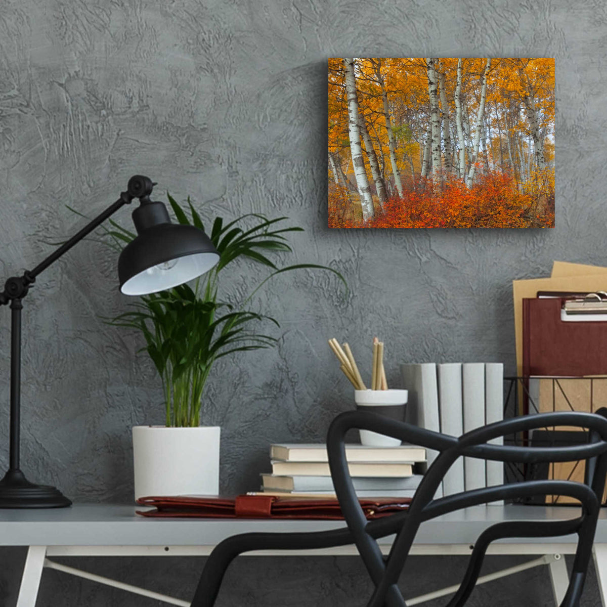 Epic Art 'Morning Aspens' by Jesse Estes, Acrylic Glass Wall Art,16x12