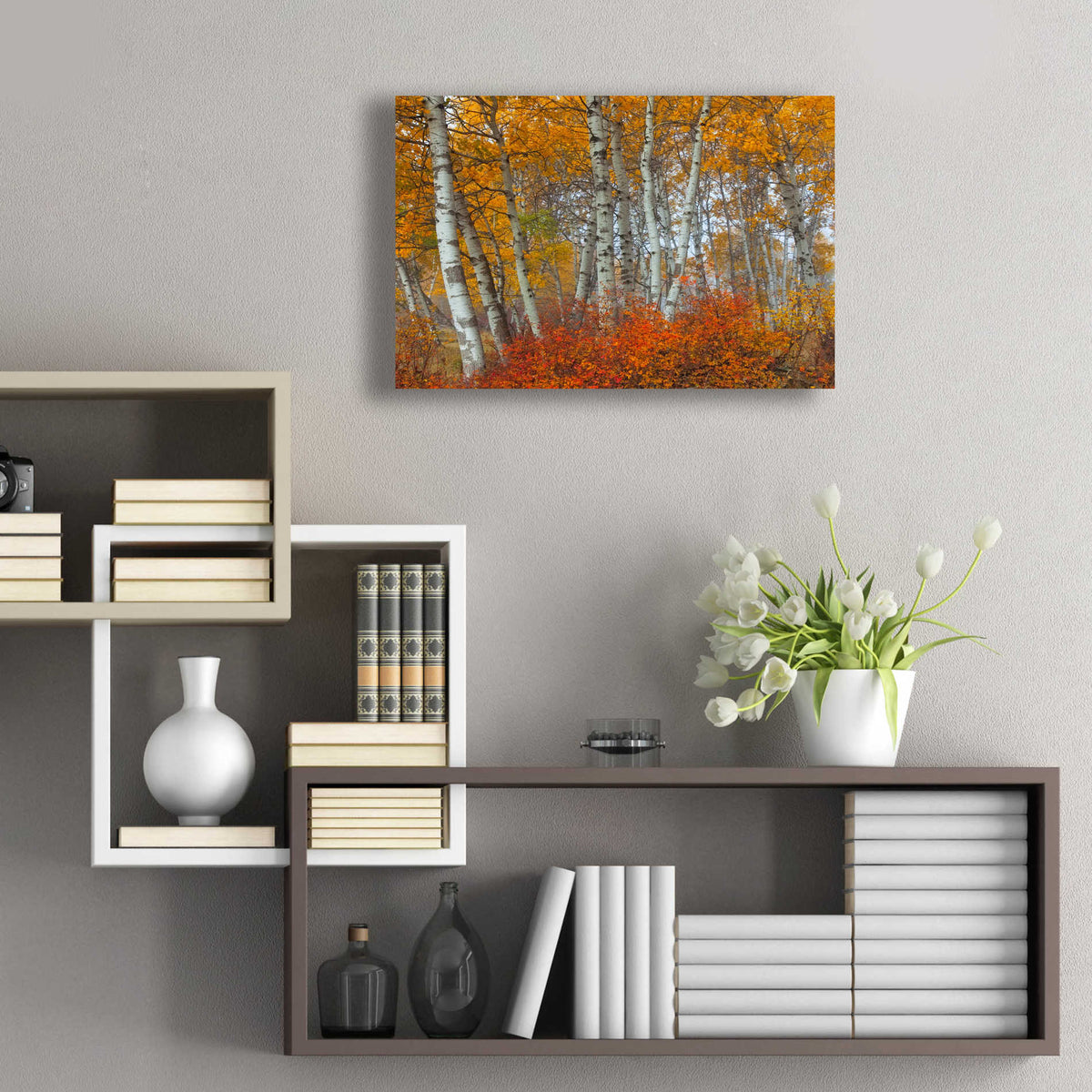Epic Art 'Morning Aspens' by Jesse Estes, Acrylic Glass Wall Art,24x16