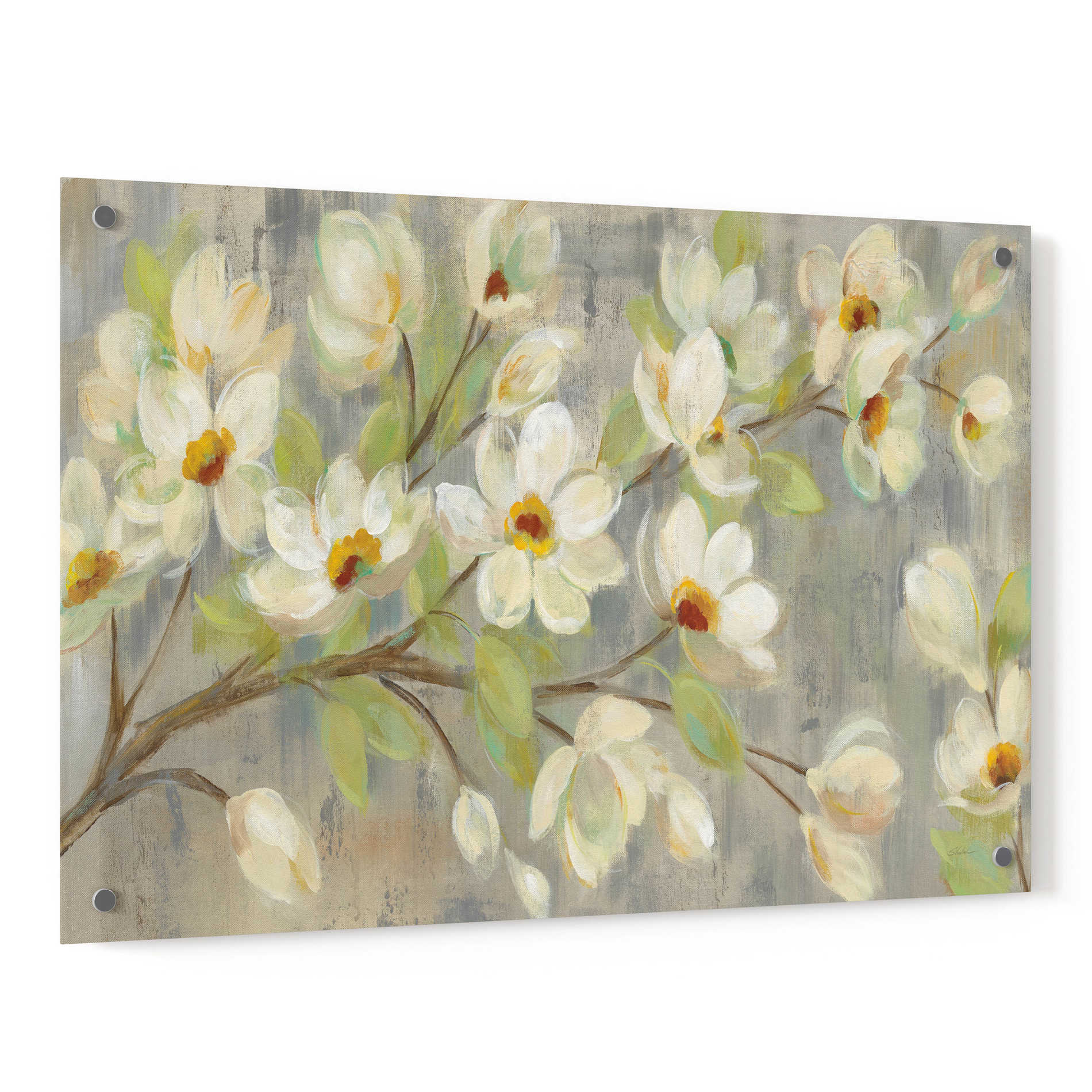 Epic Art 'April Branch' by Silvia Vassileva, Acrylic Glass Wall Art,36x24