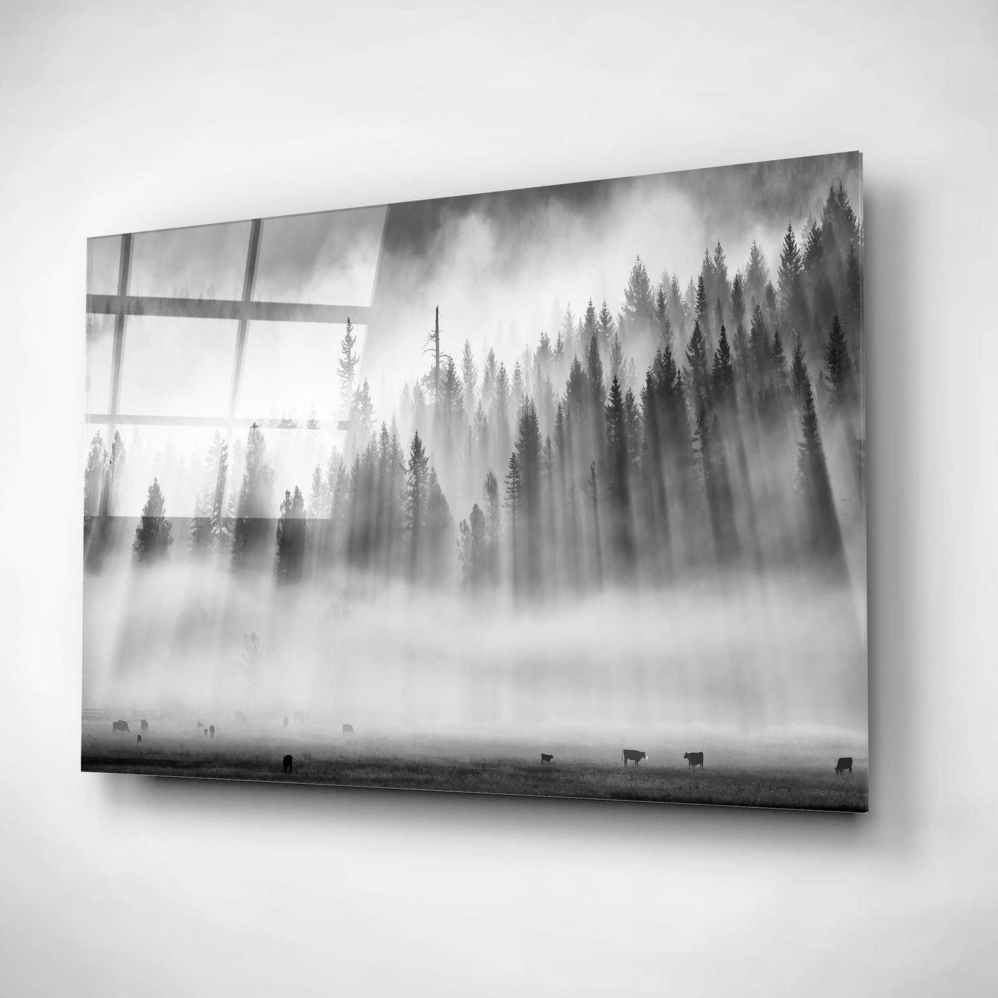 Epic Art 'Roaming In The Mist' by Jesse Estes, Acrylic Glass Wall Art,16x12
