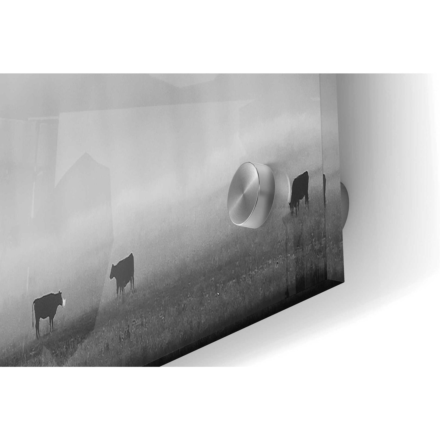 Epic Art 'Roaming In The Mist' by Jesse Estes, Acrylic Glass Wall Art,36x24