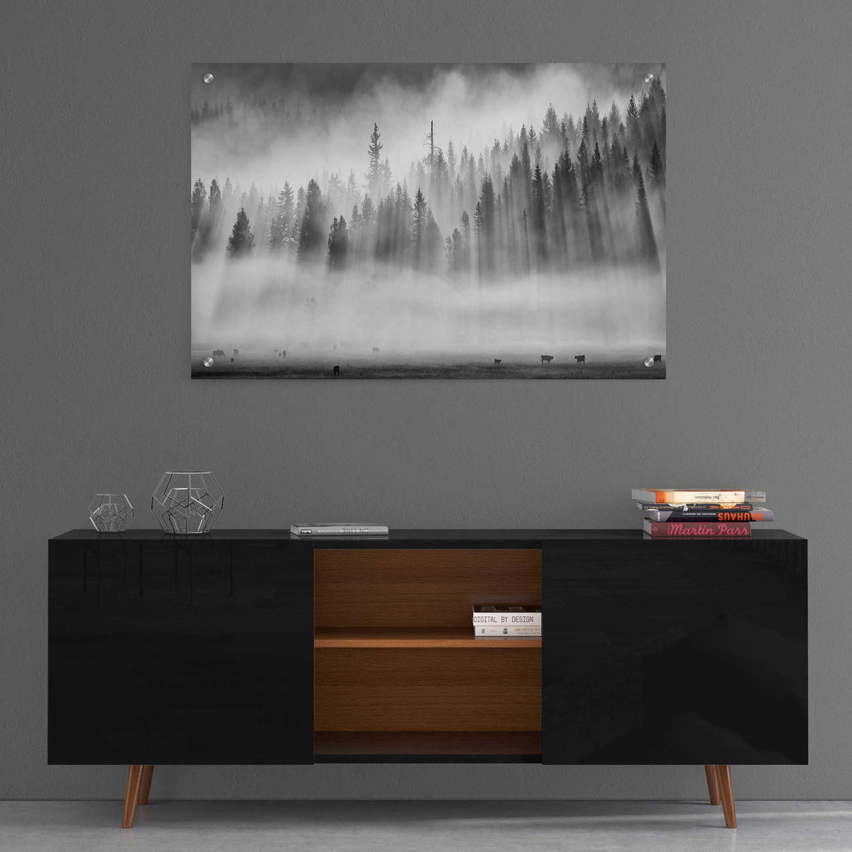 Epic Art 'Roaming In The Mist' by Jesse Estes, Acrylic Glass Wall Art,36x24