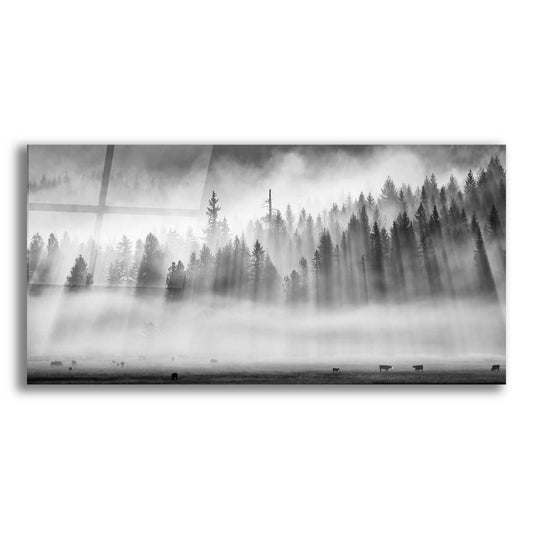 Epic Art 'Roaming In The Mist' by Jesse Estes, Acrylic Glass Wall Art