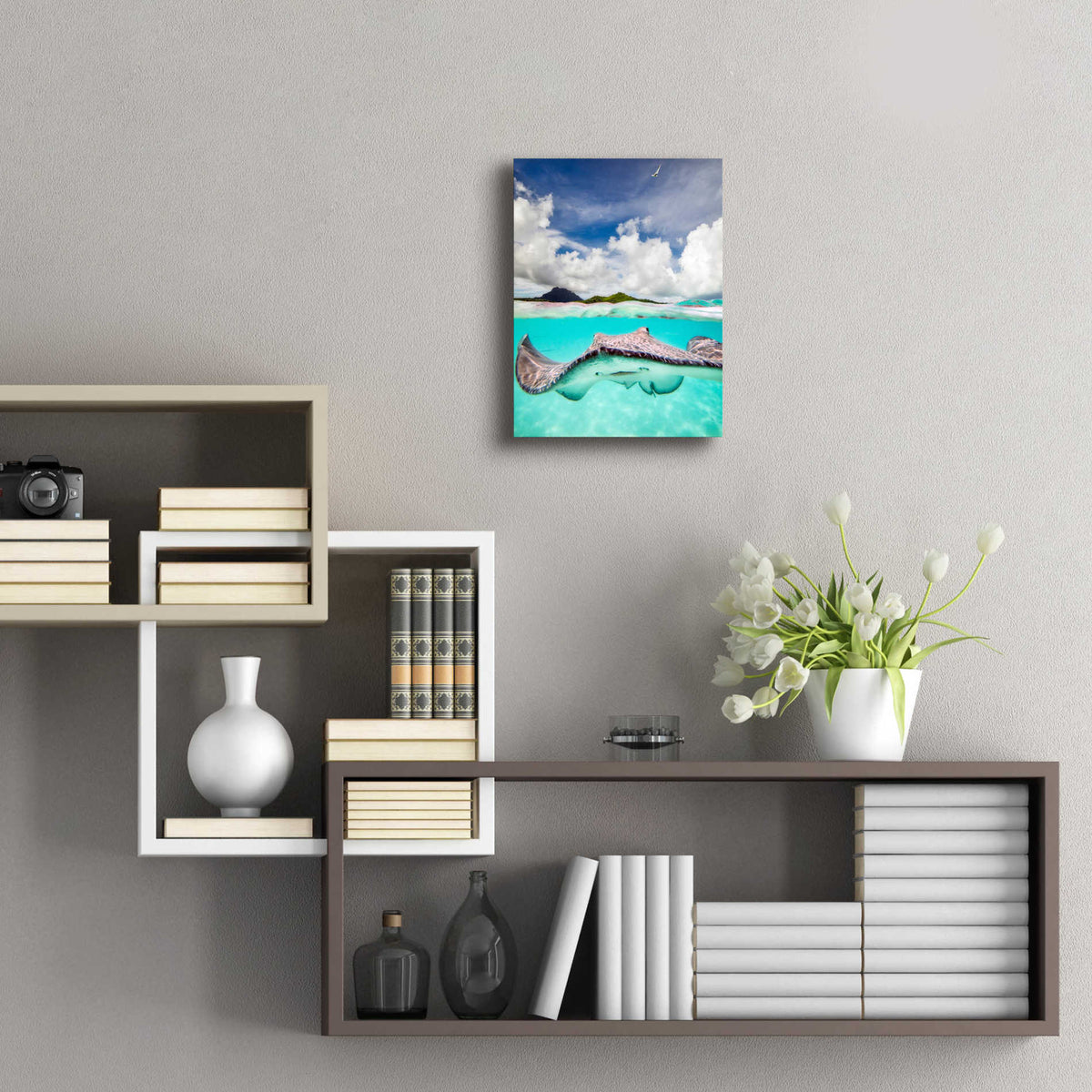Epic Art 'Stingray' by Jesse Estes, Acrylic Glass Wall Art,12x16