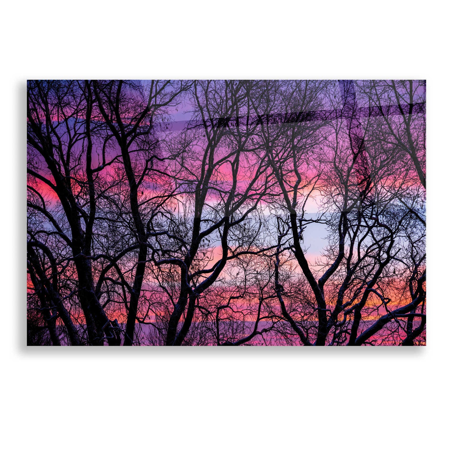 Epic Art 'Sunrise in the Trees' by Darren White, Acrylic Glass Wall Art,16x12