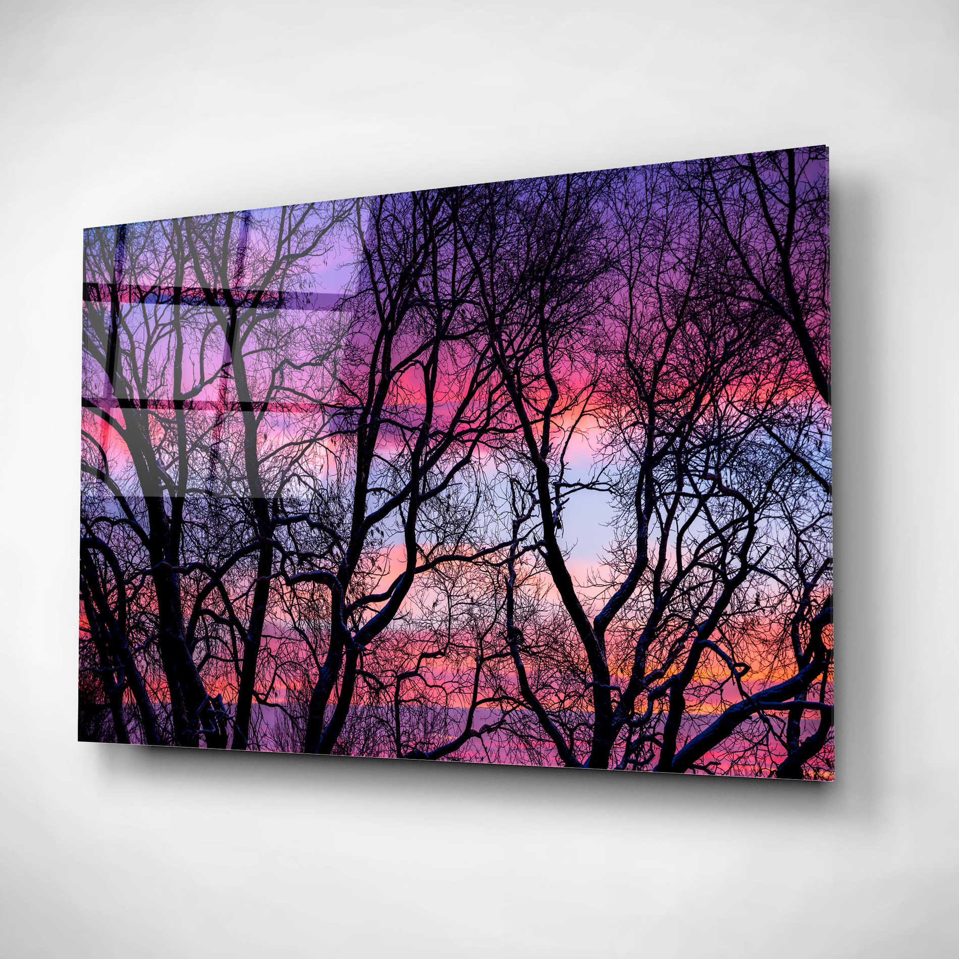 Epic Art 'Sunrise in the Trees' by Darren White, Acrylic Glass Wall Art,24x16