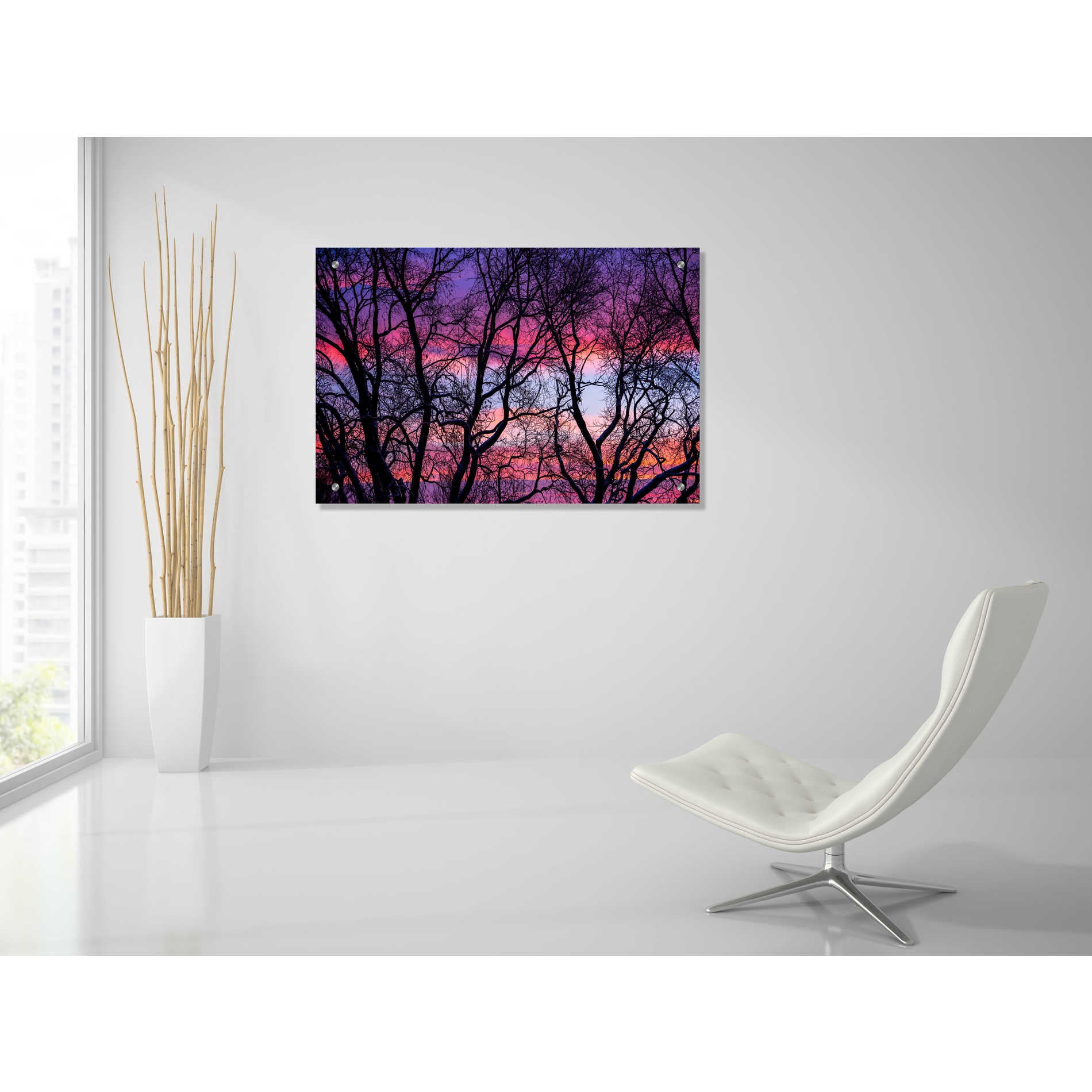 Epic Art 'Sunrise in the Trees' by Darren White, Acrylic Glass Wall Art,36x24