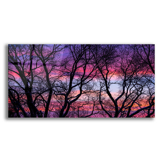 Epic Art 'Sunrise in the Trees' by Darren White, Acrylic Glass Wall Art