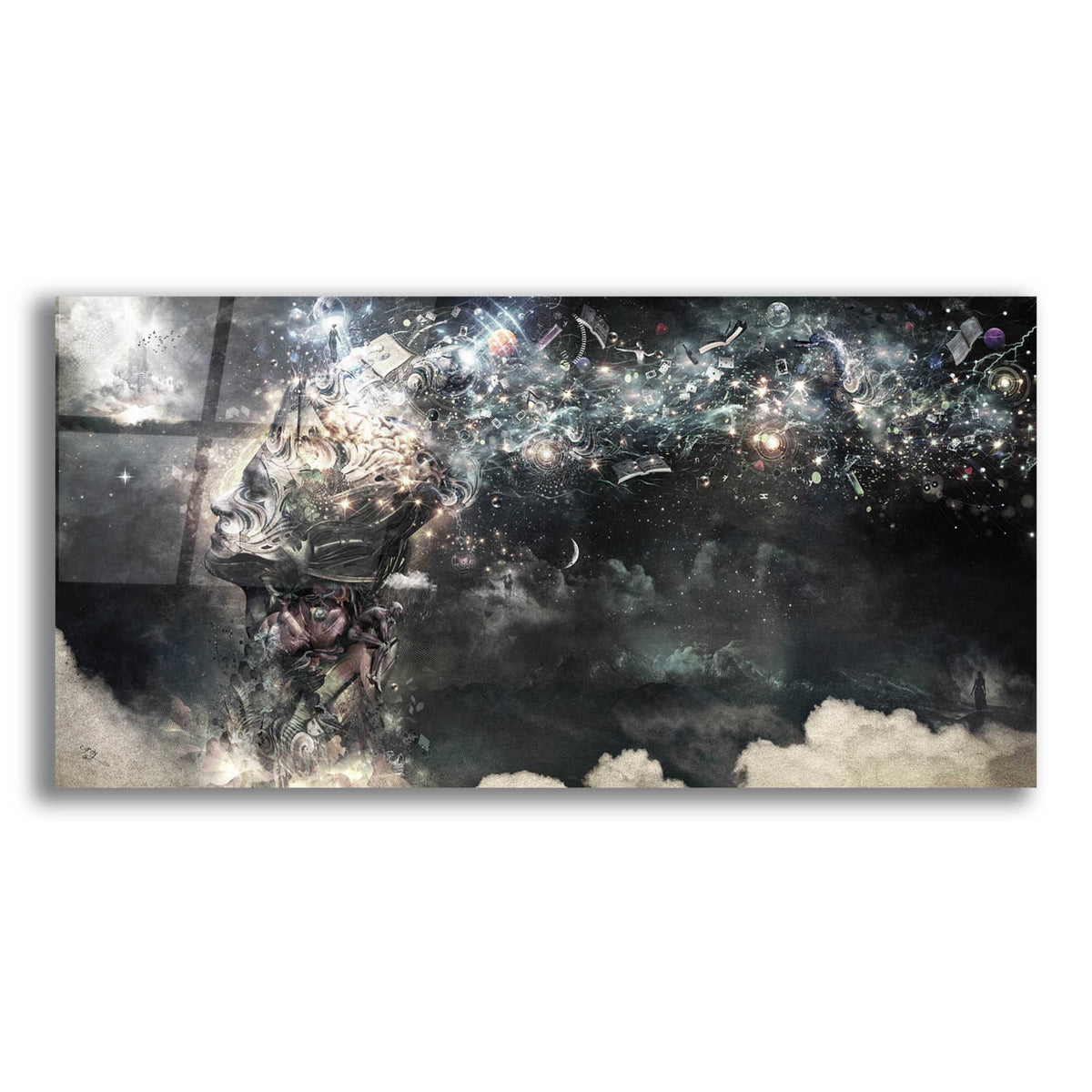 Epic Art 'Coma' by Cameron Gray, Acrylic Glass Wall Art,24x12