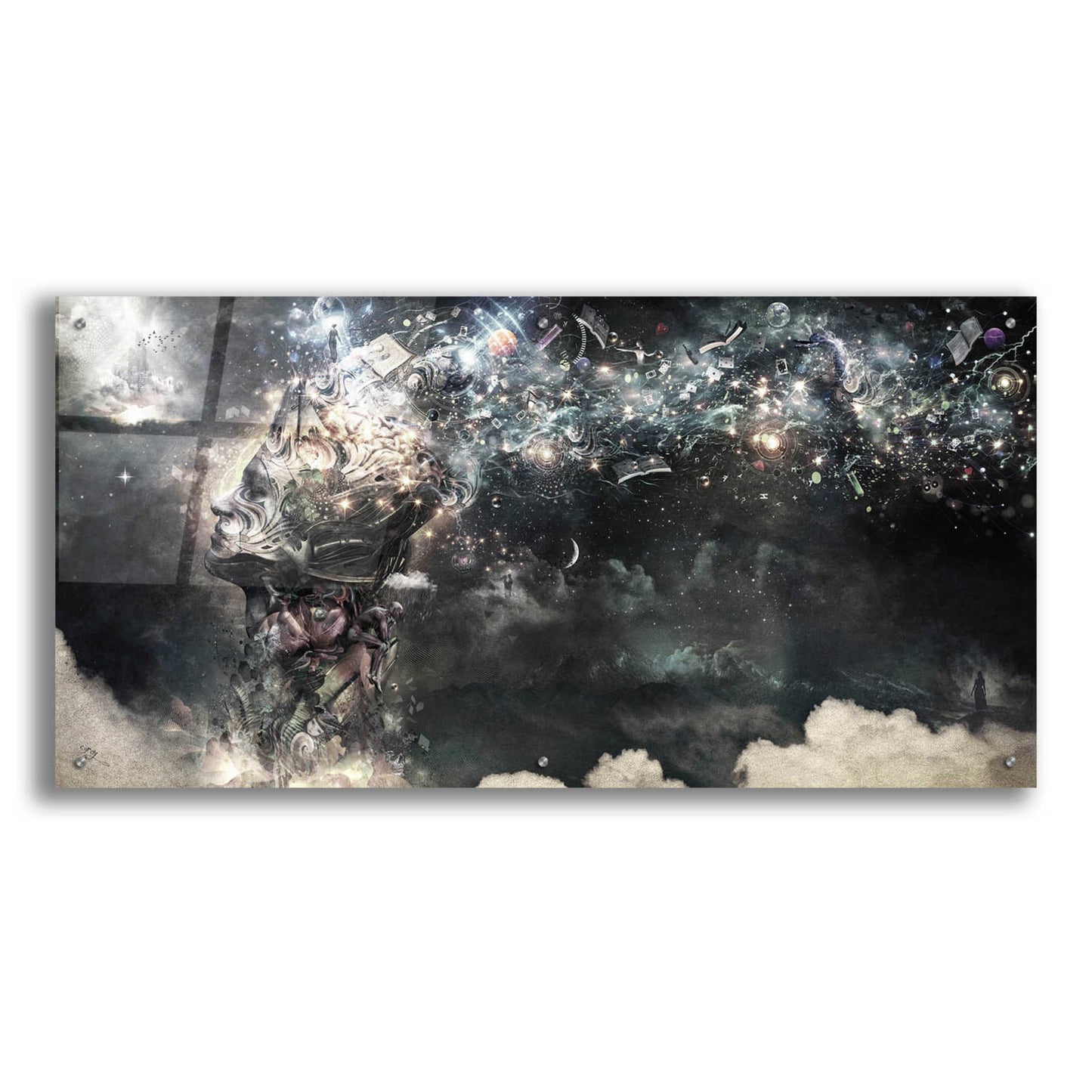 Epic Art 'Coma' by Cameron Gray, Acrylic Glass Wall Art,48x24