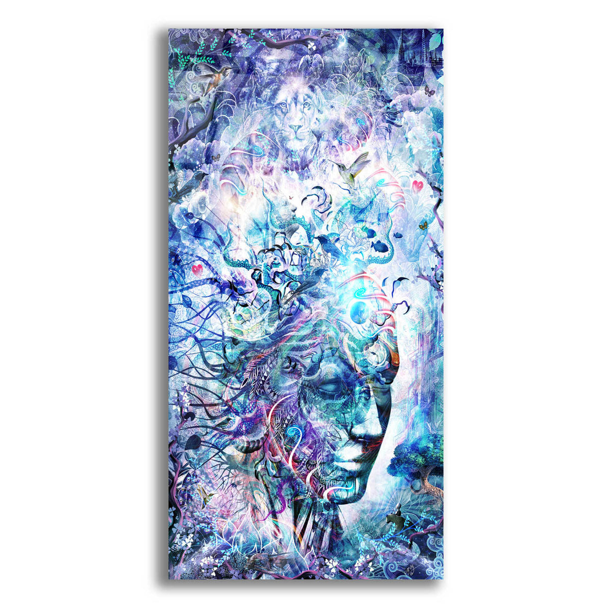 Epic Art 'Dreams of Unity' by Cameron Gray, Acrylic Glass Wall Art,12x24