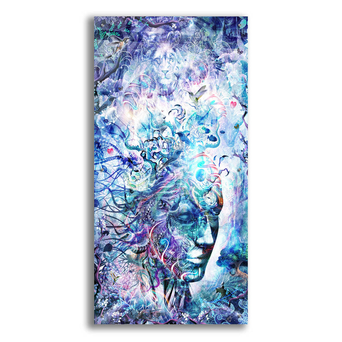Epic Art 'Dreams of Unity' by Cameron Gray, Acrylic Glass Wall Art,24x48