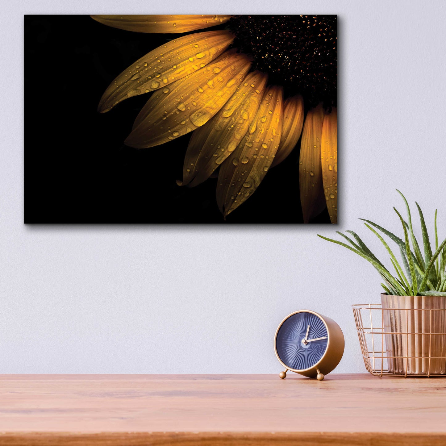 Epic Art 'Backyard Flowers 28 Sunflower' by Brian Carson, Acrylic Glass Wall Art,16x12