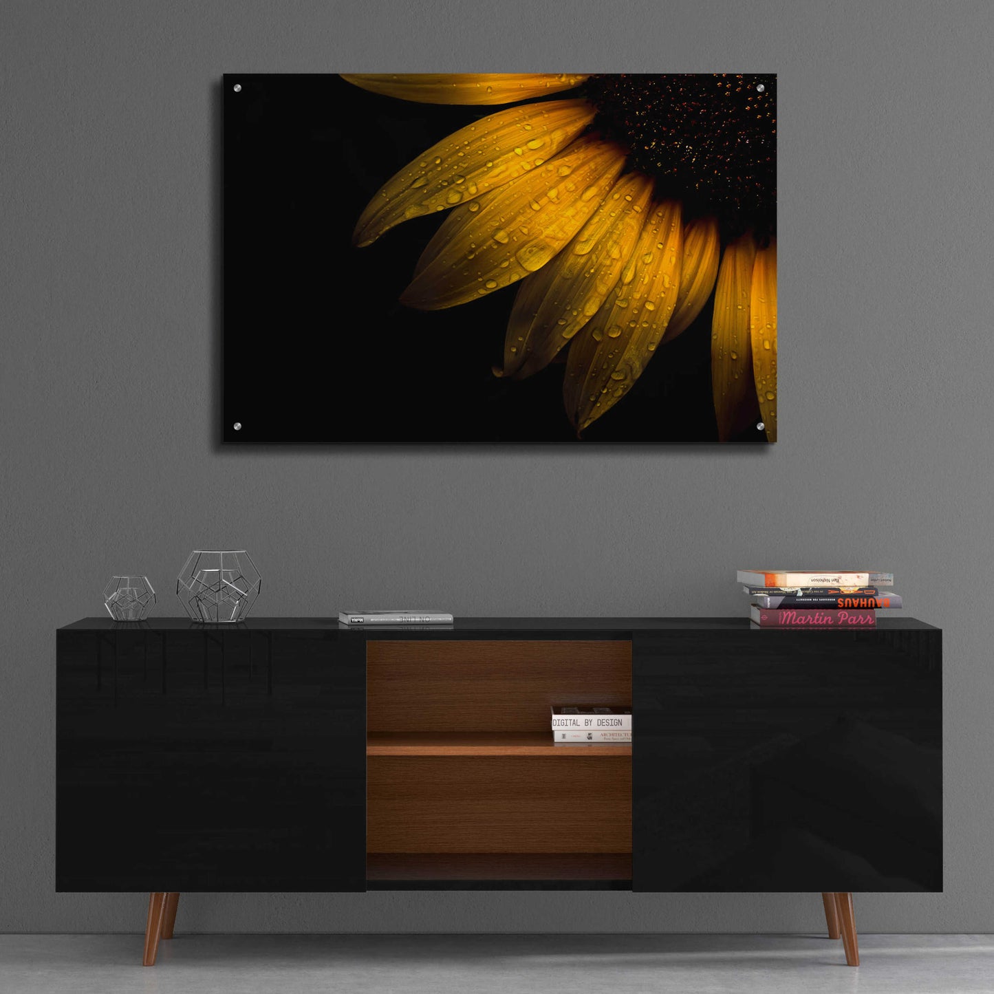 Epic Art 'Backyard Flowers 28 Sunflower' by Brian Carson, Acrylic Glass Wall Art,36x24