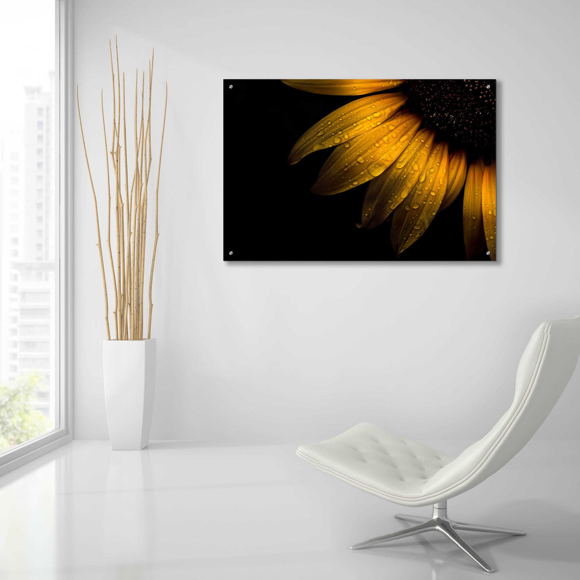 Epic Art 'Backyard Flowers 28 Sunflower' by Brian Carson, Acrylic Glass Wall Art,36x24