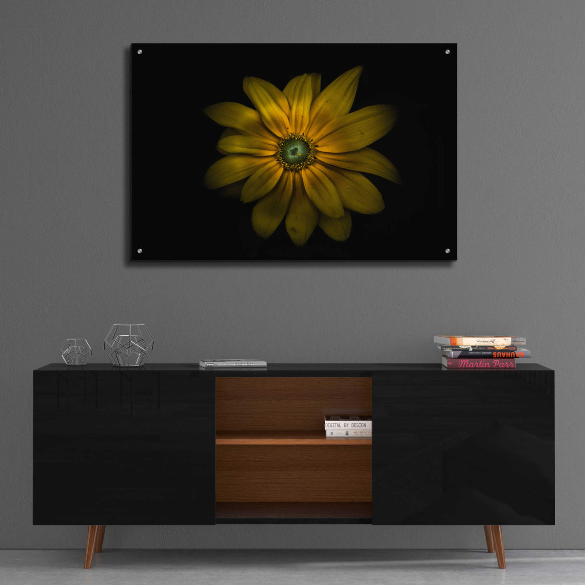 Epic Art 'Backyard Flowers 34 Color Version' by Brian Carson, Acrylic Glass Wall Art,36x24