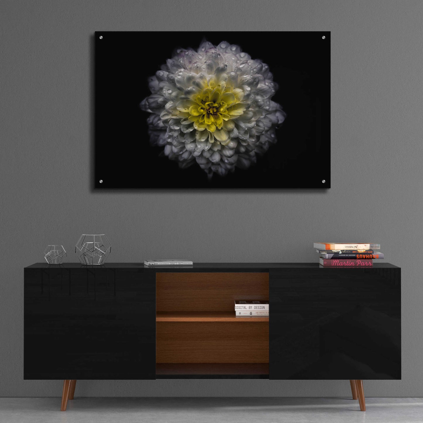 Epic Art 'Backyard Flowers 46 Color Version' by Brian Carson, Acrylic Glass Wall Art,36x24