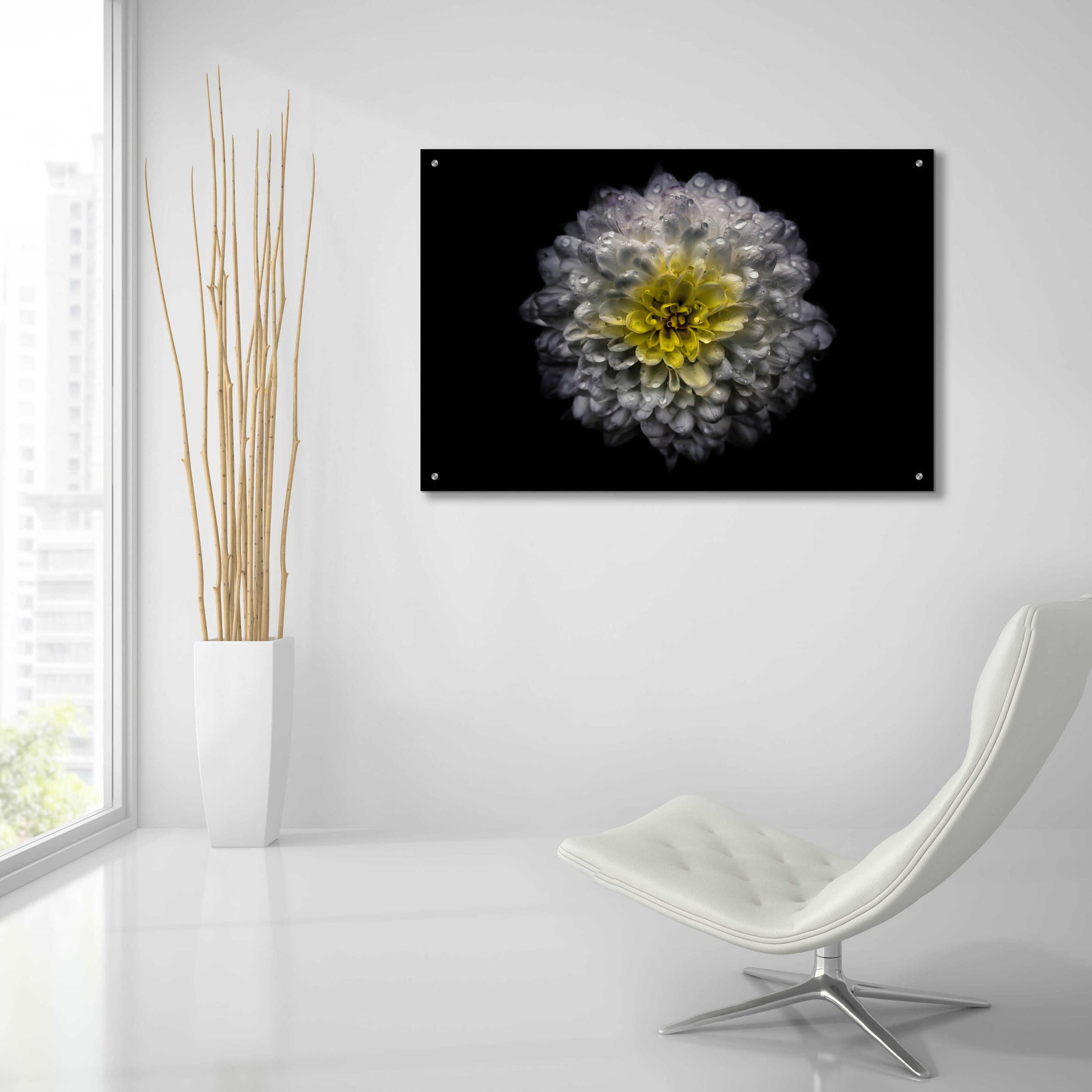 Epic Art 'Backyard Flowers 46 Color Version' by Brian Carson, Acrylic Glass Wall Art,36x24