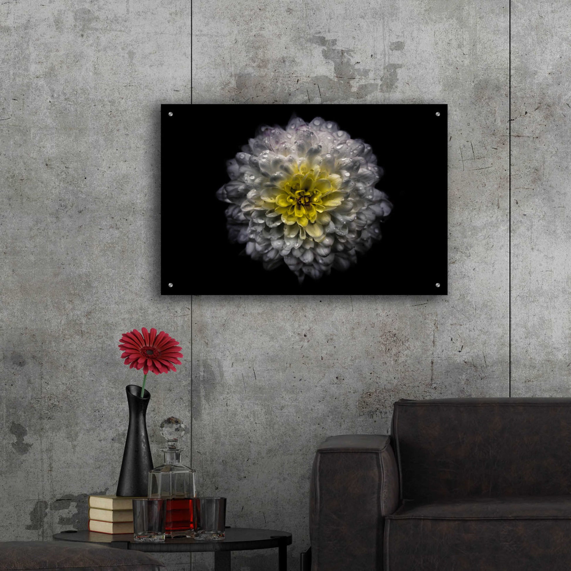 Epic Art 'Backyard Flowers 46 Color Version' by Brian Carson, Acrylic Glass Wall Art,36x24