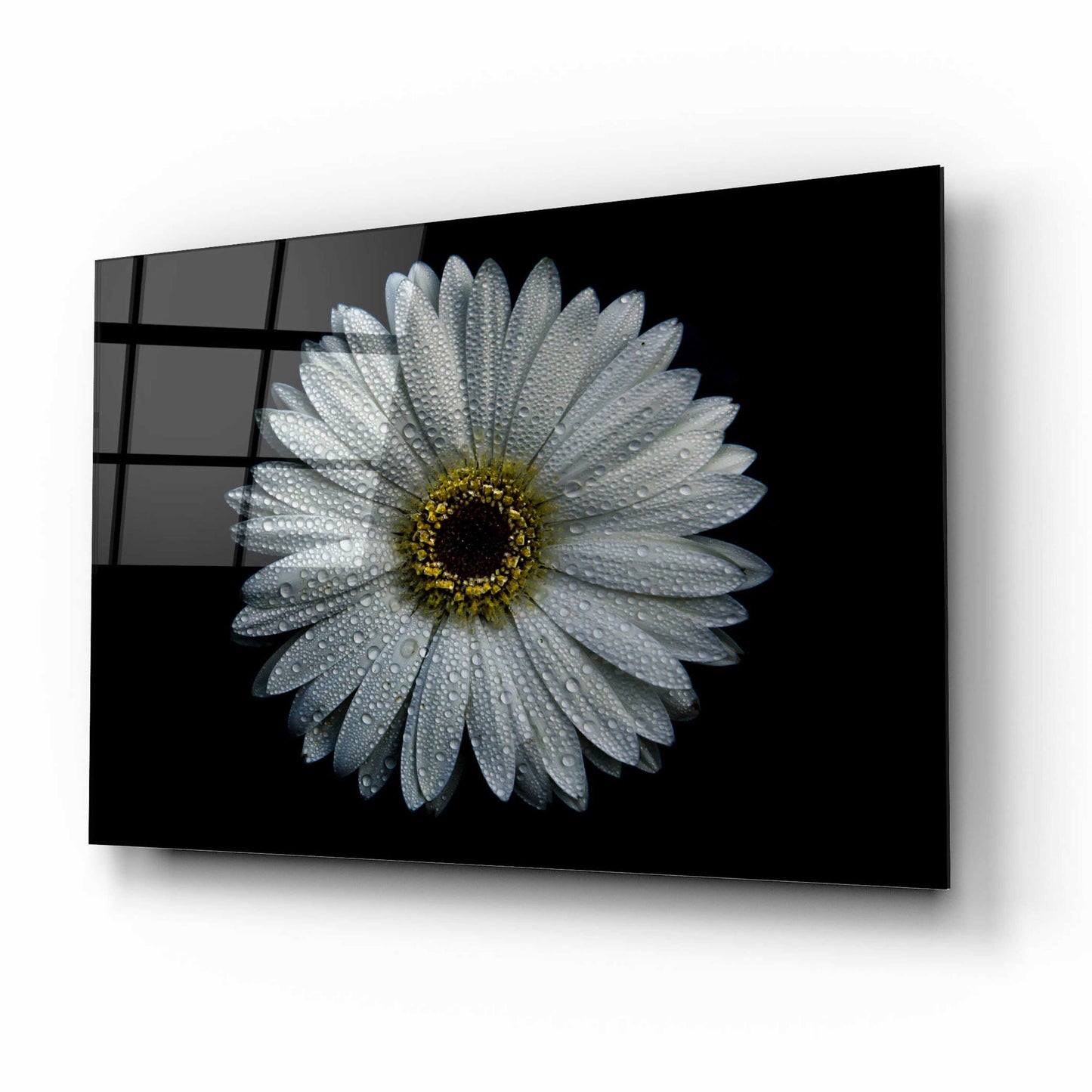 Epic Art 'Backyard Flowers 71 Color Version' by Brian Carson, Acrylic Glass Wall Art,16x12