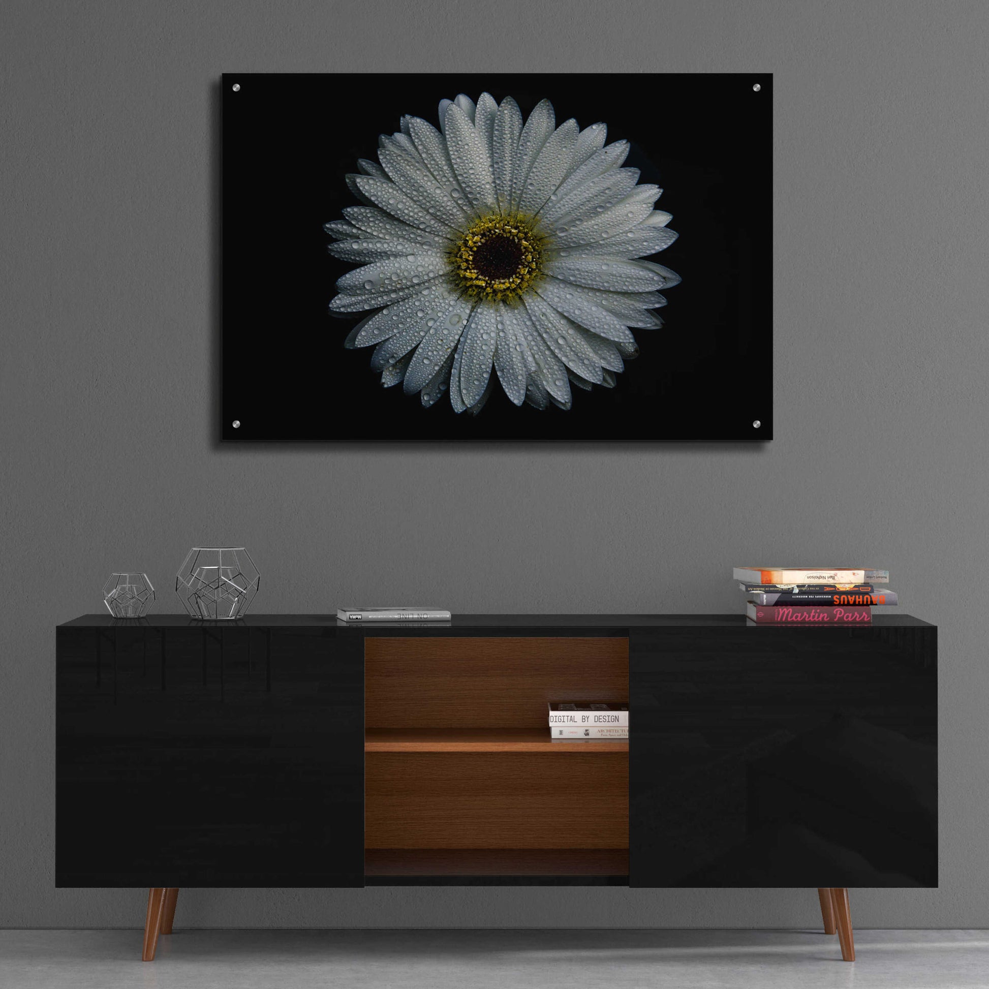 Epic Art 'Backyard Flowers 71 Color Version' by Brian Carson, Acrylic Glass Wall Art,36x24