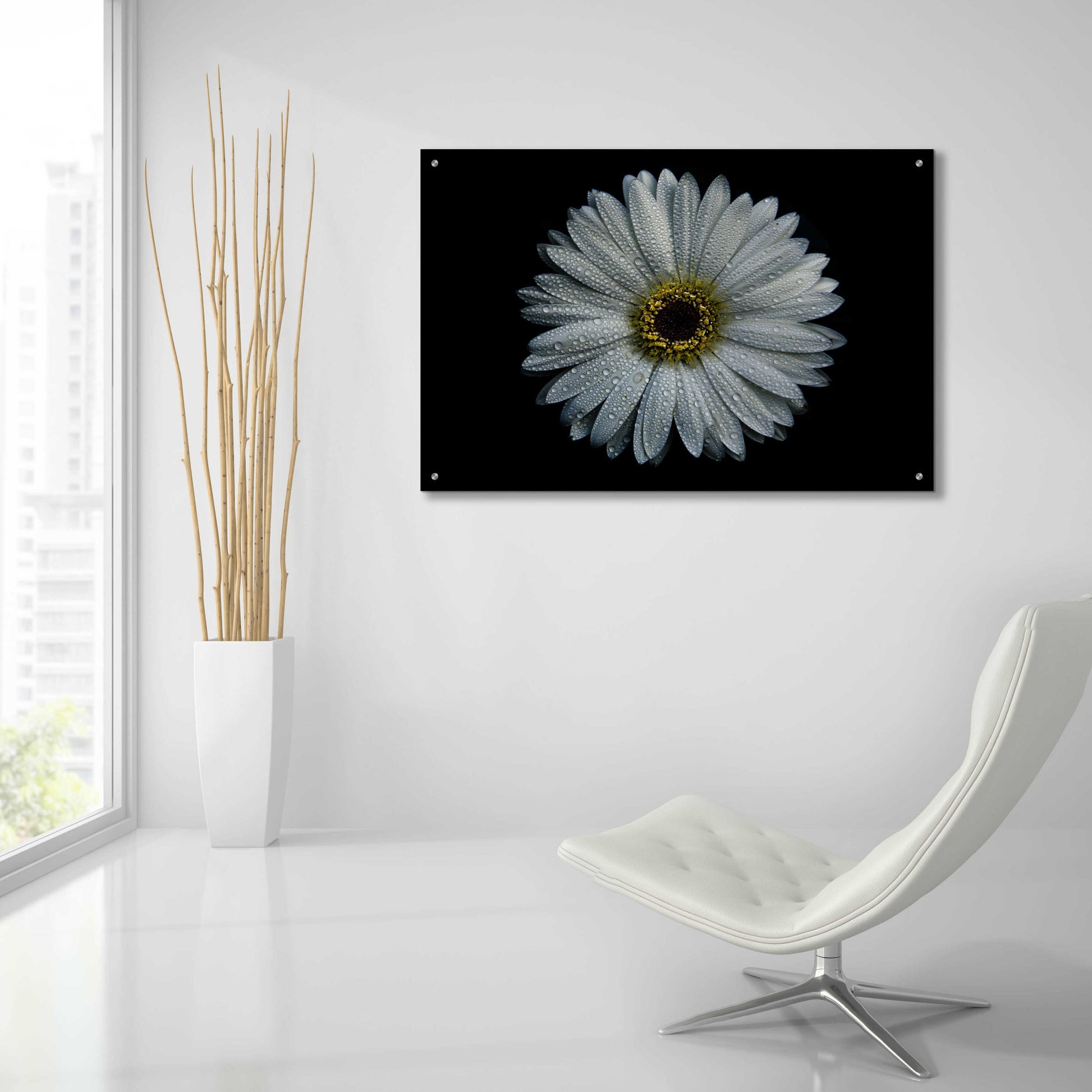 Epic Art 'Backyard Flowers 71 Color Version' by Brian Carson, Acrylic Glass Wall Art,36x24