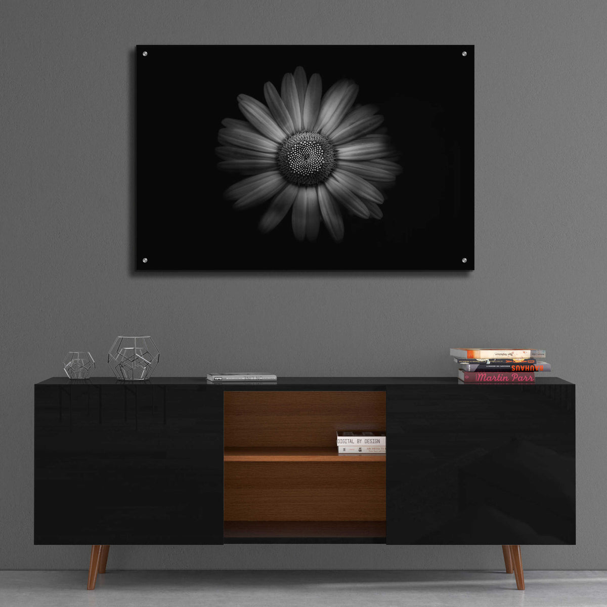 Epic Art 'Backyard Flowers In Black And White 31' by Brian Carson, Acrylic Glass Wall Art,36x24