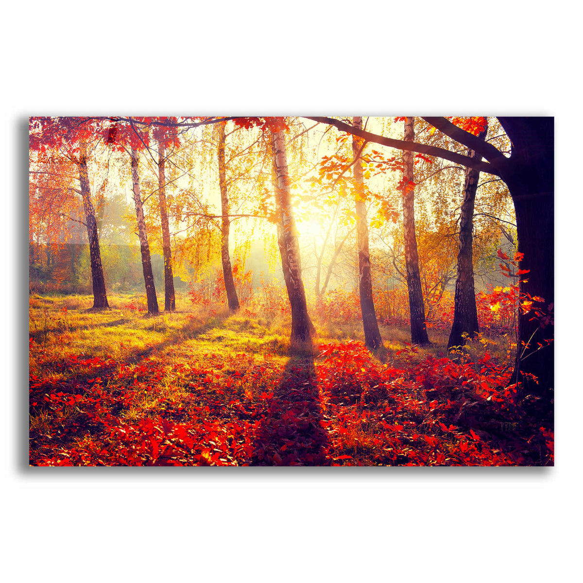 Epic Art 'Golden Afternoon,' Acrylic Glass Wall Art