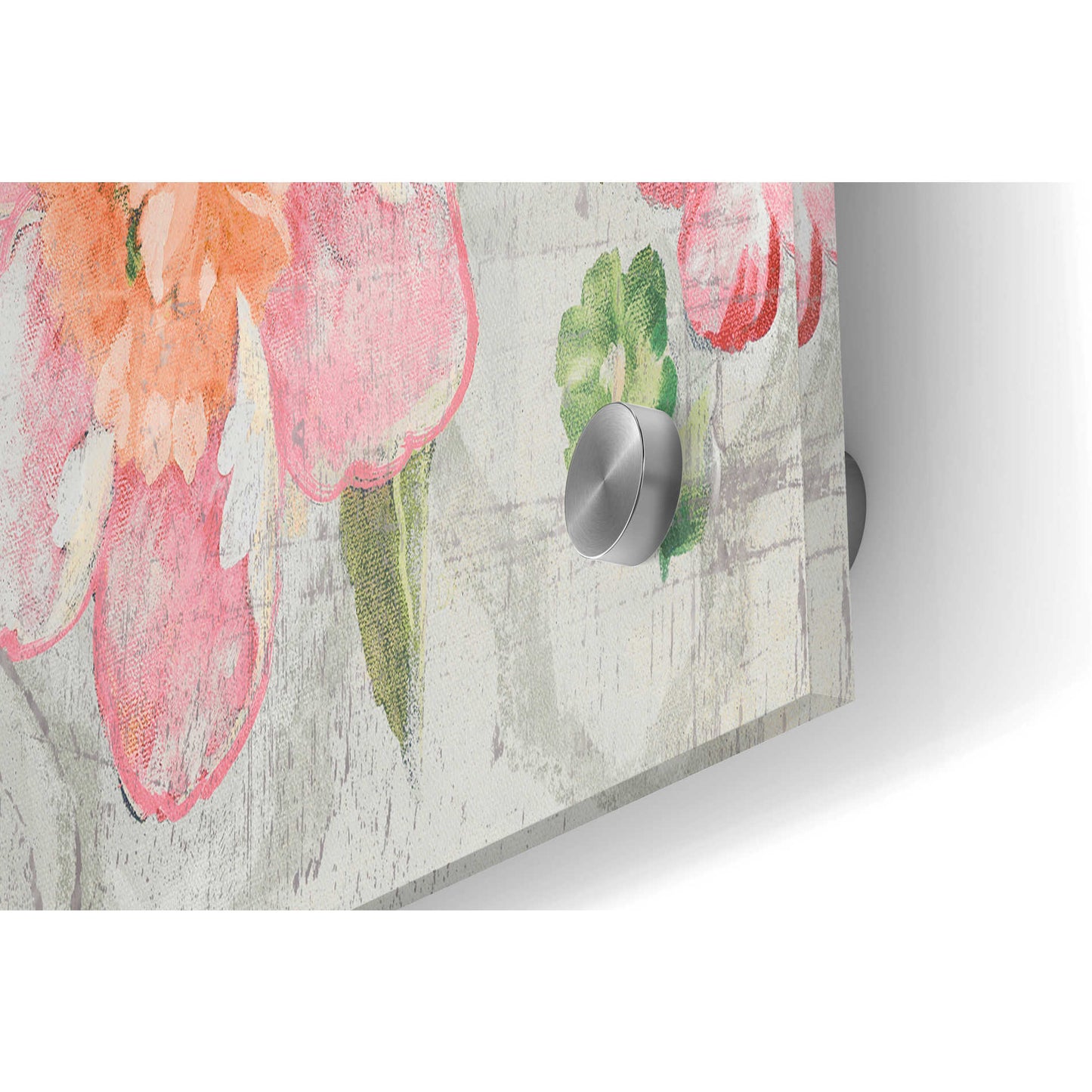 Epic Art 'Summer Garden of Delights Gray' by Danhui Nai, Acrylic Glass Wall Art,24x12