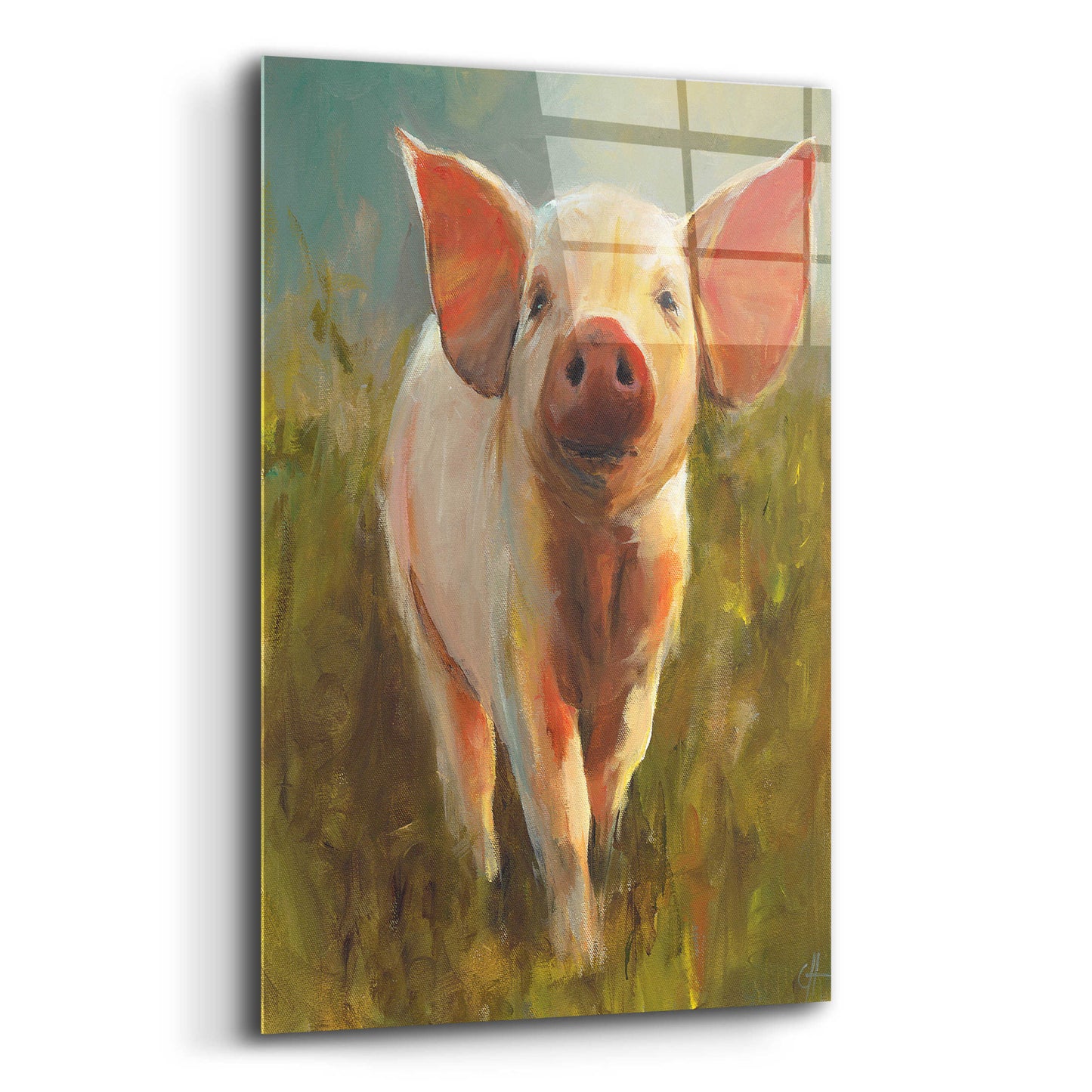 Epic Art 'Morning Pig' by Cari J Humphry, Acrylic Glass Wall Art,12x16