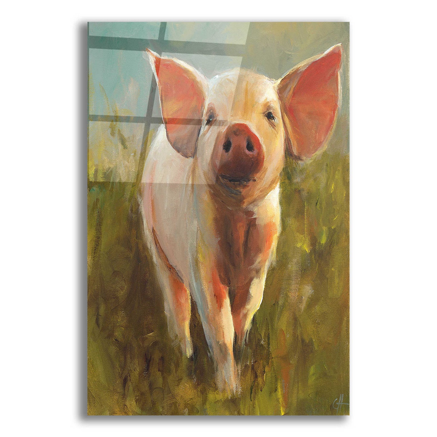 Epic Art 'Morning Pig' by Cari J Humphry, Acrylic Glass Wall Art,12x16