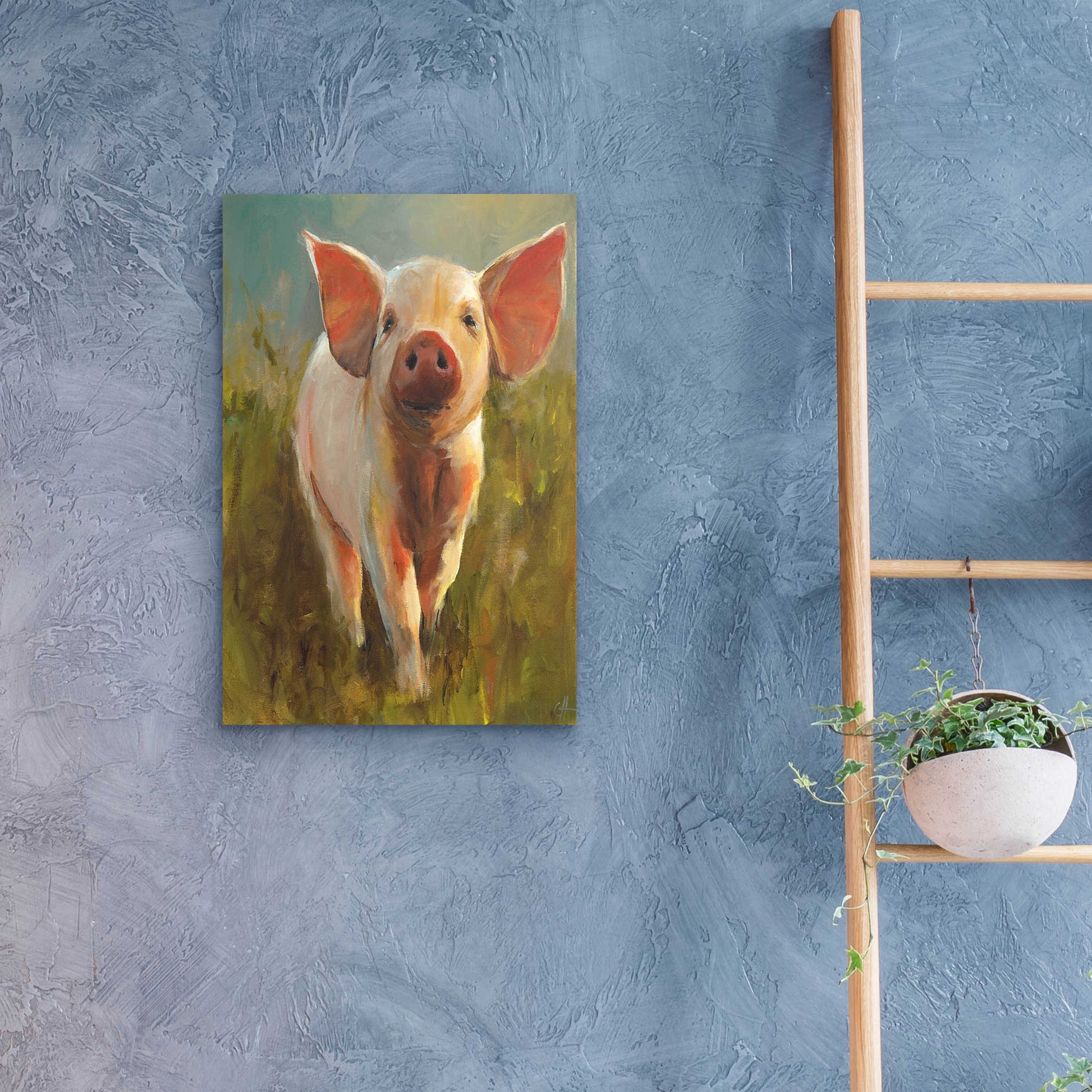 Epic Art 'Morning Pig' by Cari J Humphry, Acrylic Glass Wall Art,16x24