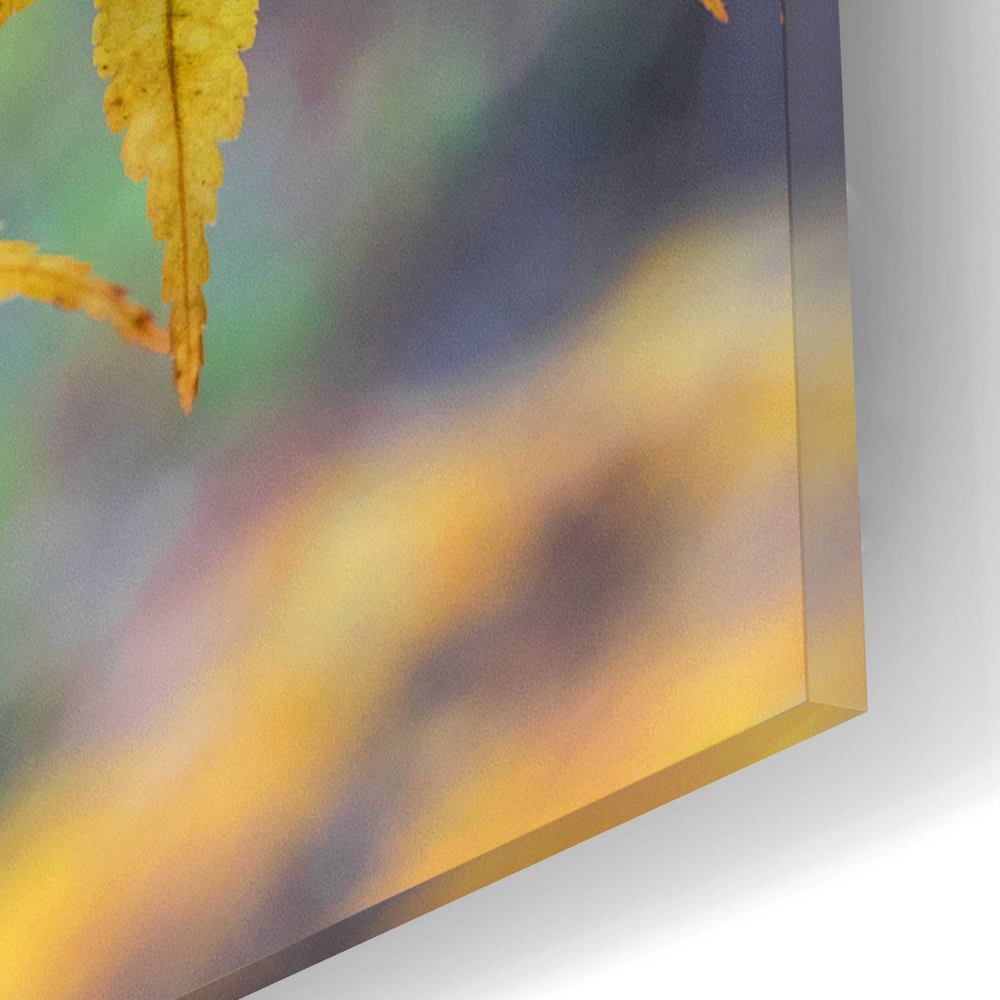 Epic Art 'Autumn Maples' by David Hammond, Acrylic Glass Wall Art,16x12