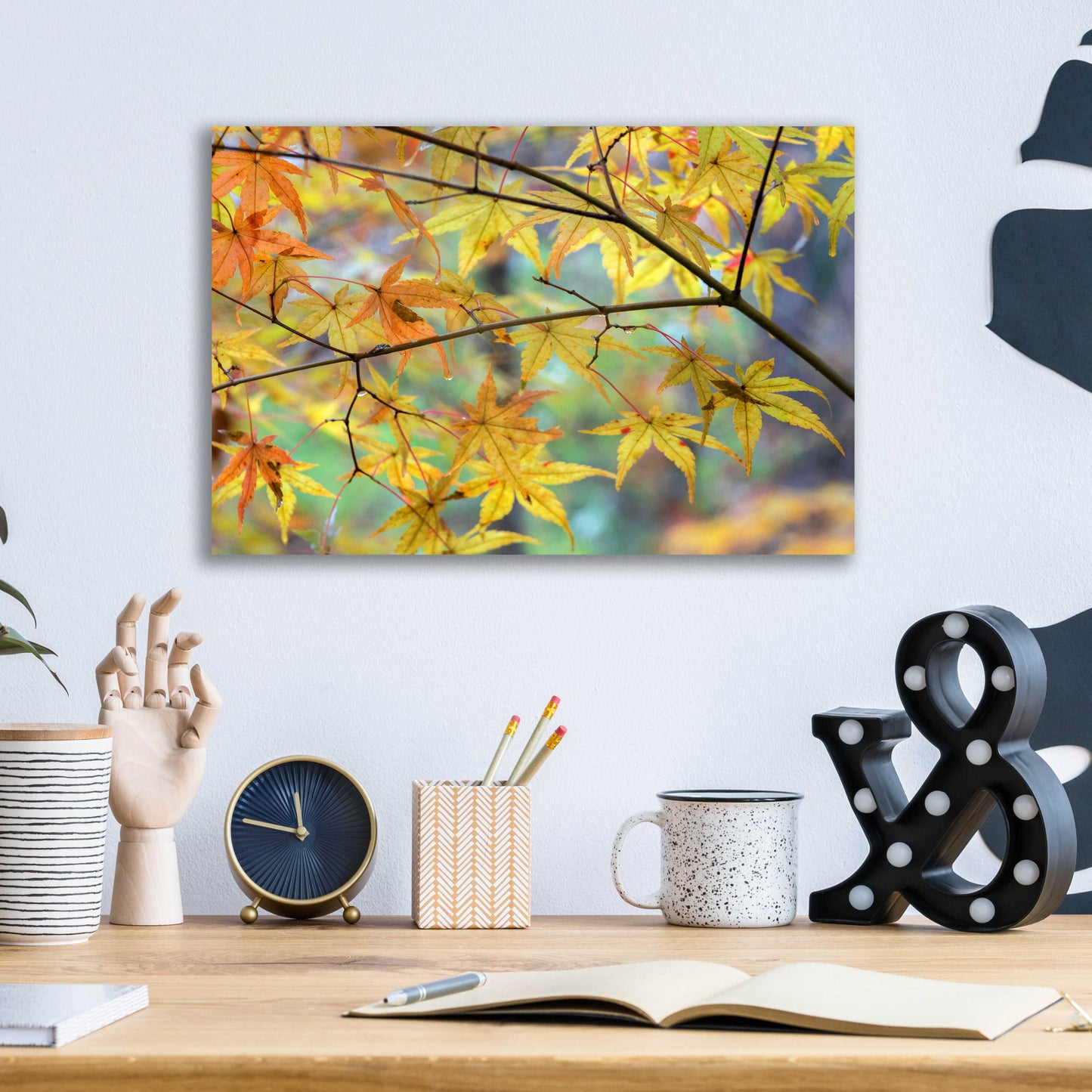 Epic Art 'Autumn Maples' by David Hammond, Acrylic Glass Wall Art,16x12