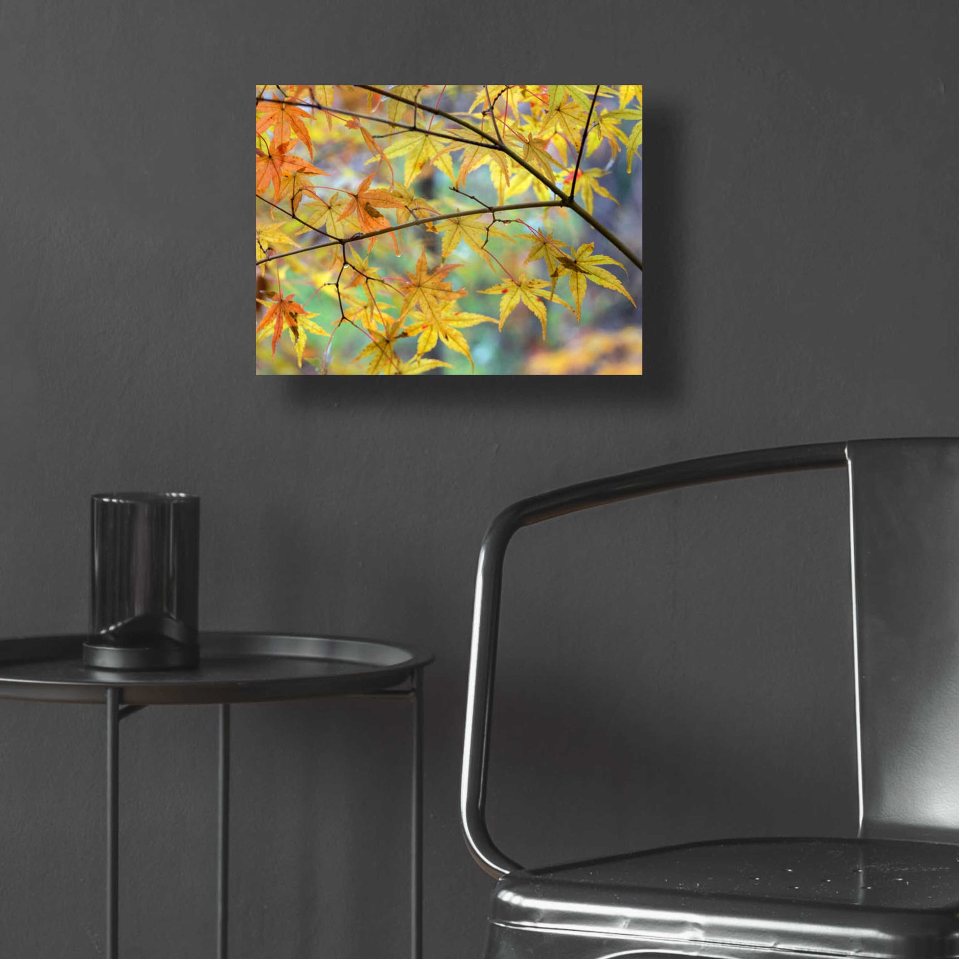 Epic Art 'Autumn Maples' by David Hammond, Acrylic Glass Wall Art,16x12