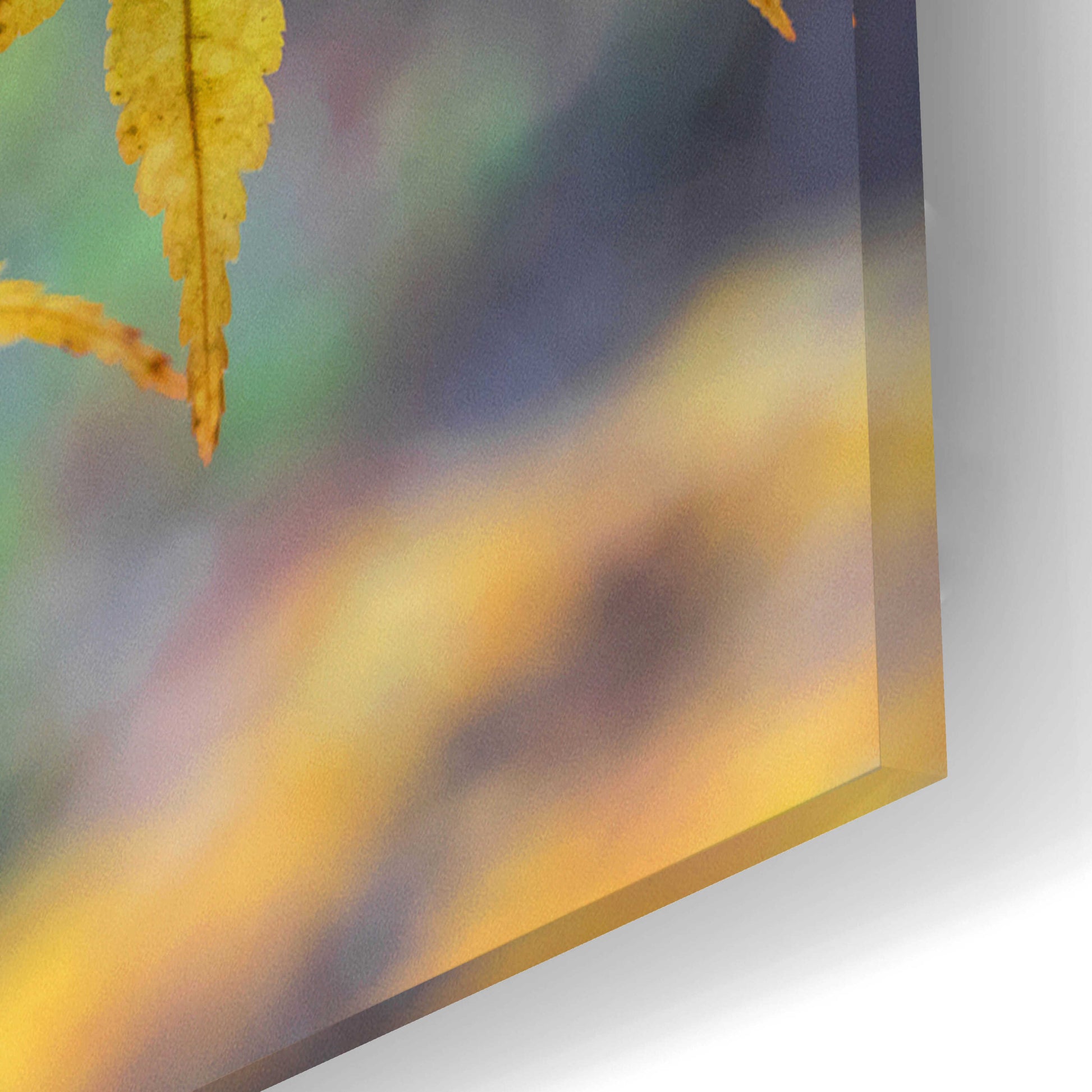 Epic Art 'Autumn Maples' by David Hammond, Acrylic Glass Wall Art,24x16