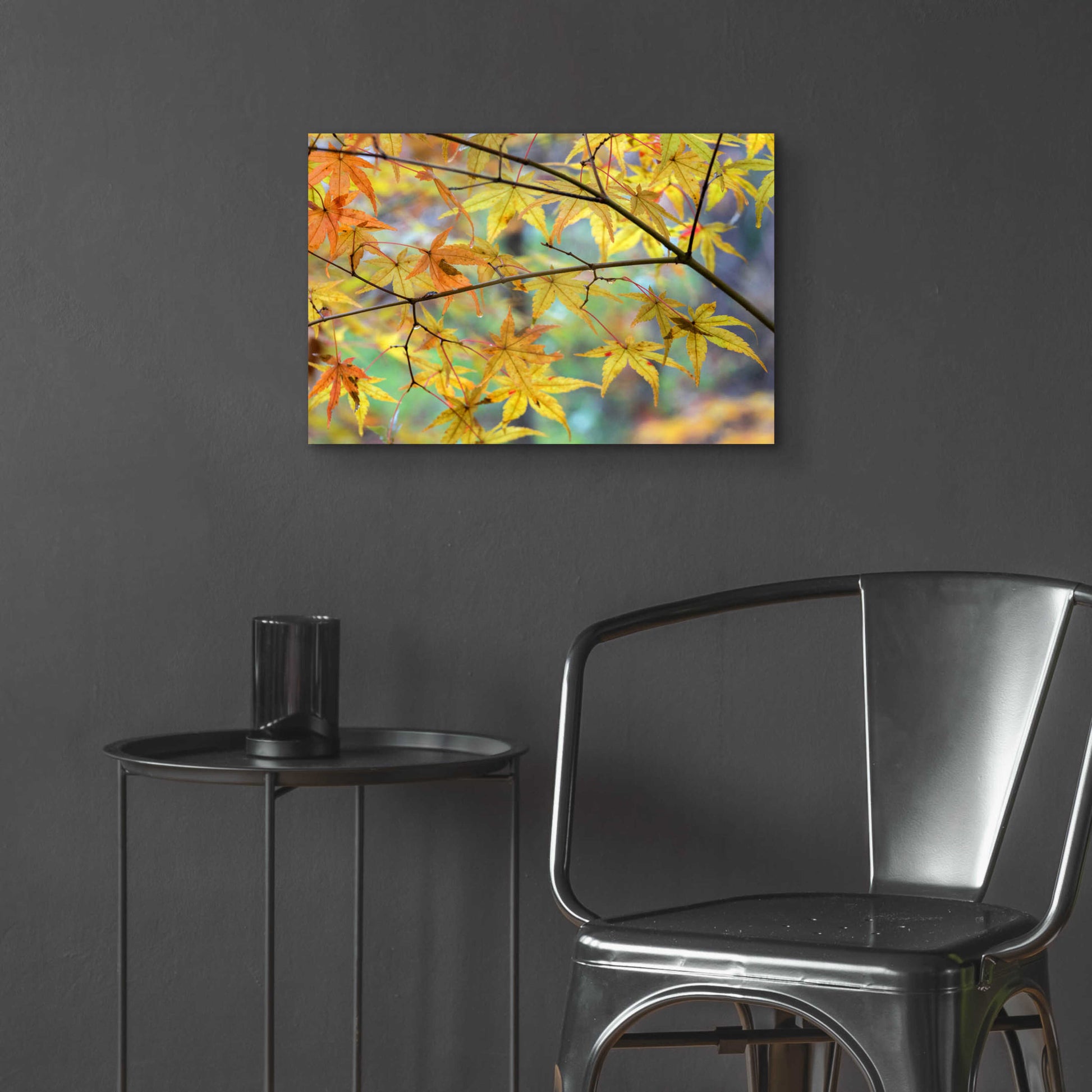 Epic Art 'Autumn Maples' by David Hammond, Acrylic Glass Wall Art,24x16