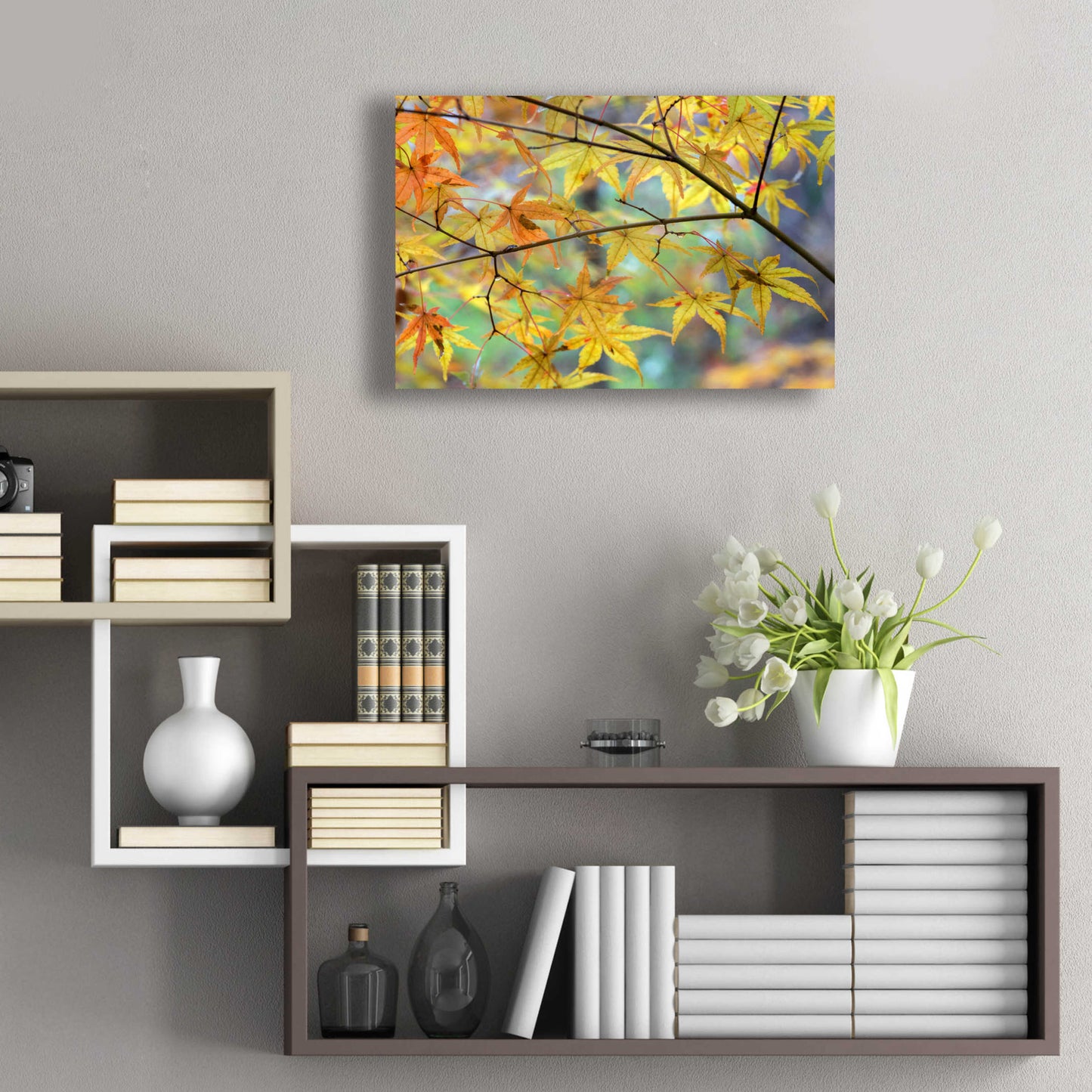 Epic Art 'Autumn Maples' by David Hammond, Acrylic Glass Wall Art,24x16