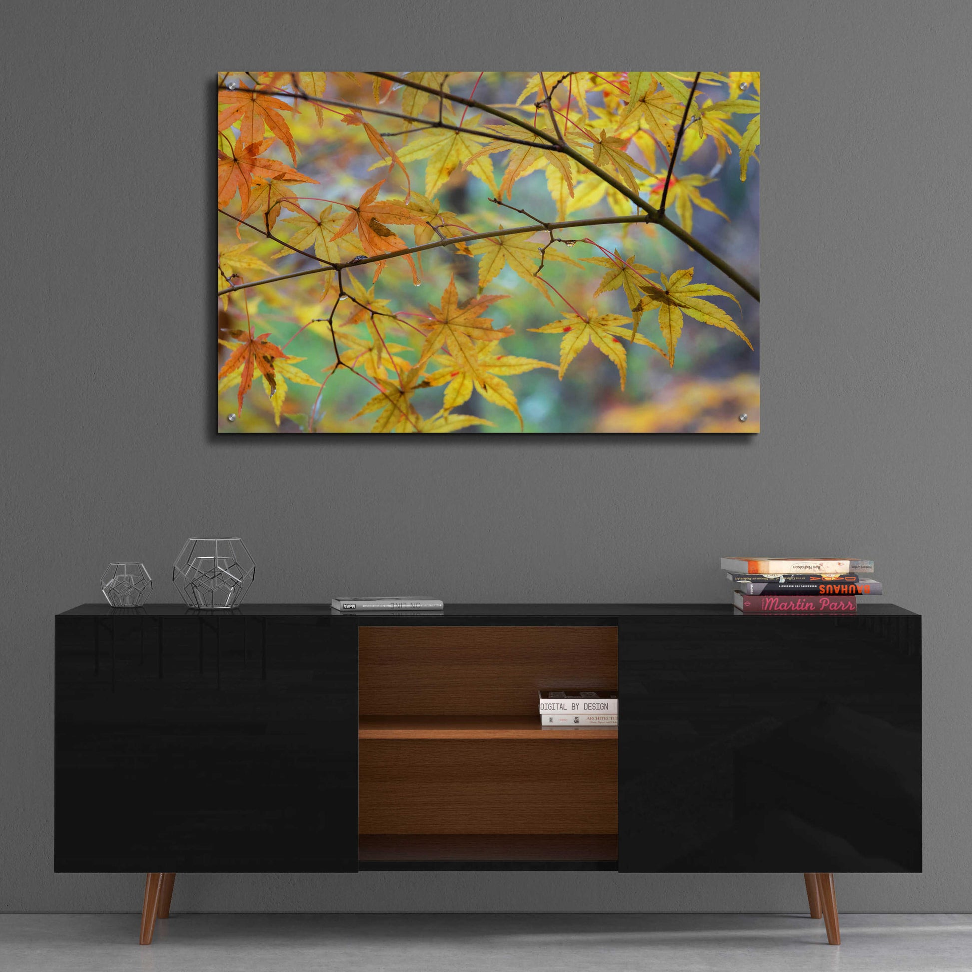 Epic Art 'Autumn Maples' by David Hammond, Acrylic Glass Wall Art,36x24