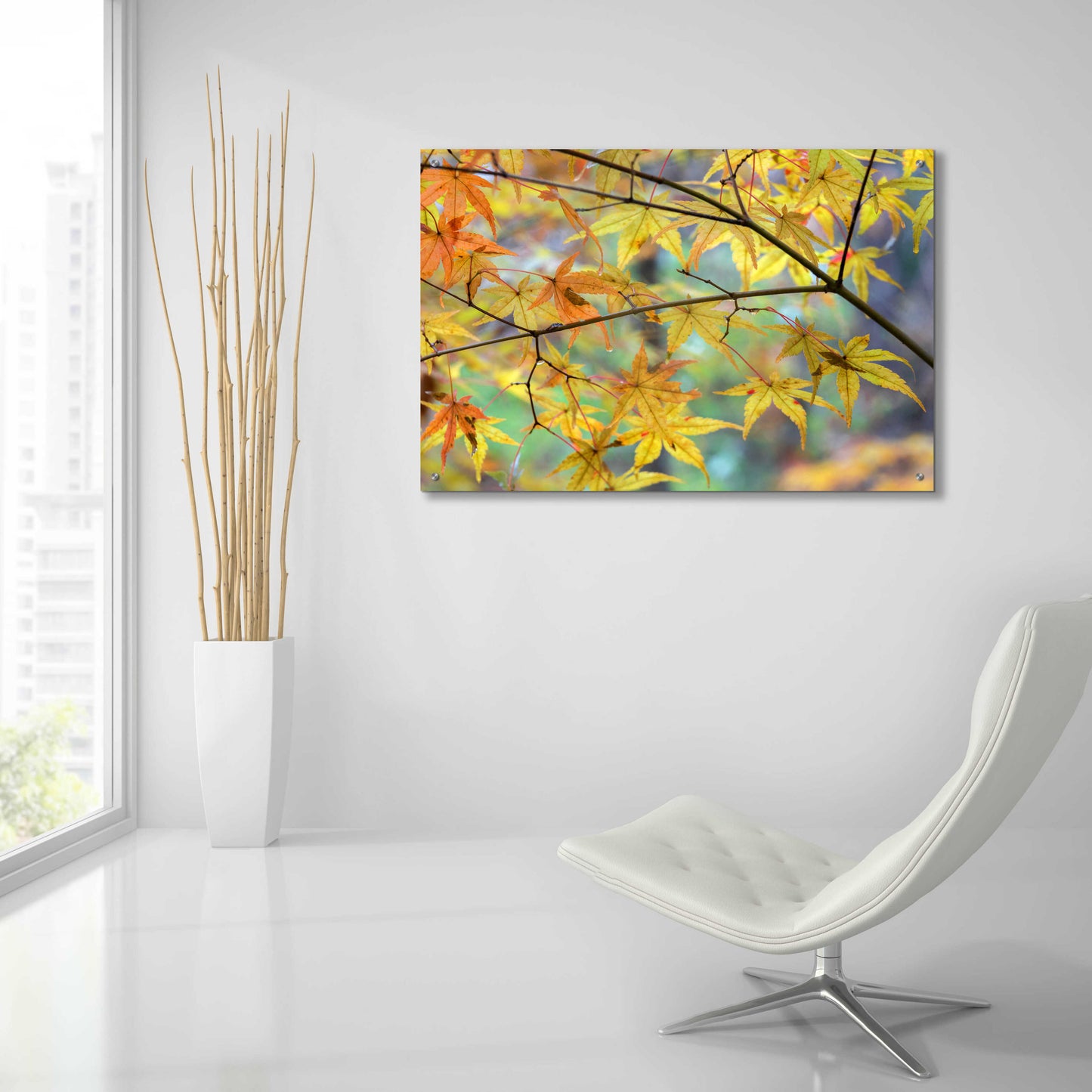 Epic Art 'Autumn Maples' by David Hammond, Acrylic Glass Wall Art,36x24